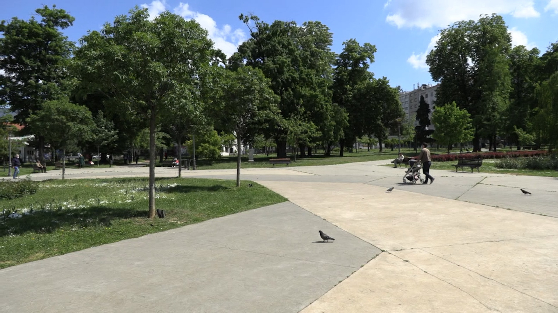 Park manjez FOTKA (1)