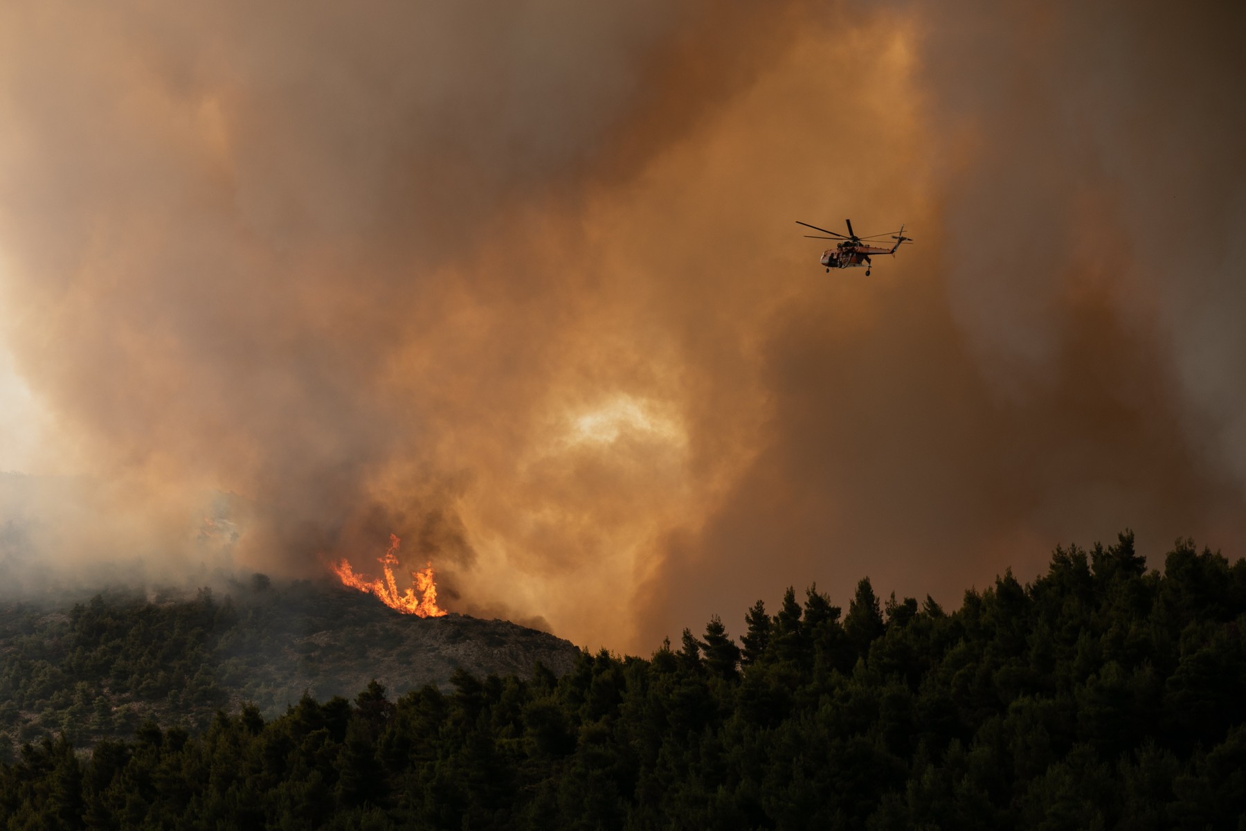 Grčka požar, GREECE KECHRIES WILDFIRE