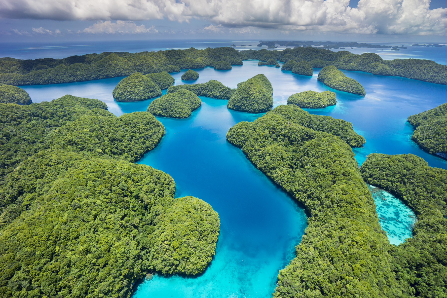 Islands in the island paradise of Palau, Micronesia, Image: 193397217, License: Rights-managed, Restrictions: , Model Release: no, Credit line: J.W.Alker / imageBROKER / Profimedia