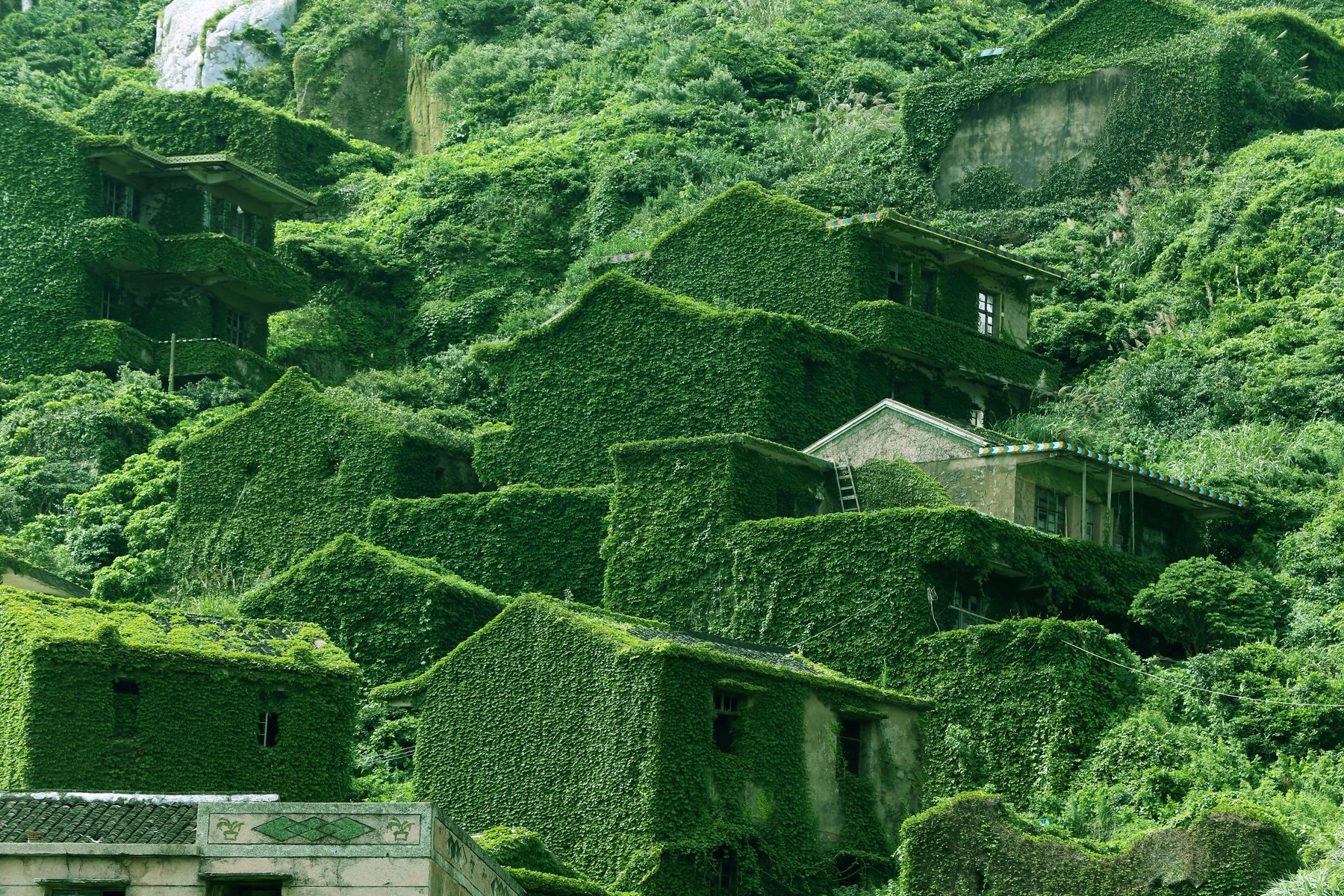 Mysterious island where houses left to plants and animals