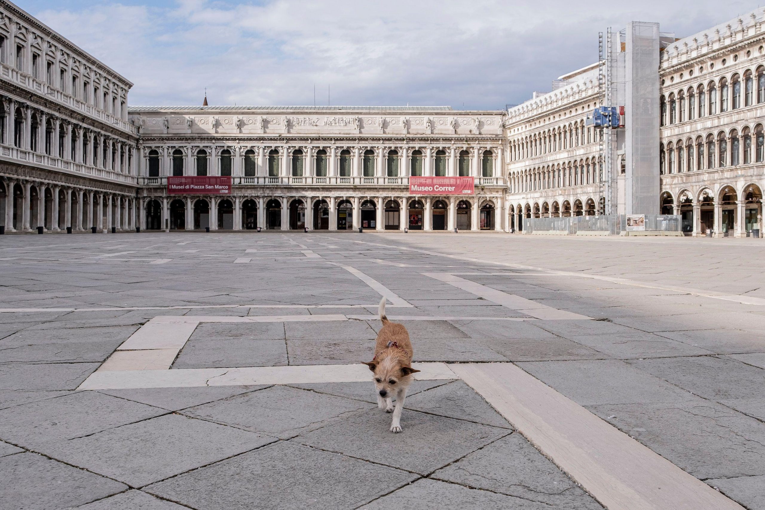 , Image: 507068189, License: Rights-managed, Restrictions: , Model Release: no, Credit line: Stefano Mazzola / Awakening / Alamy / Alamy / Profimedia