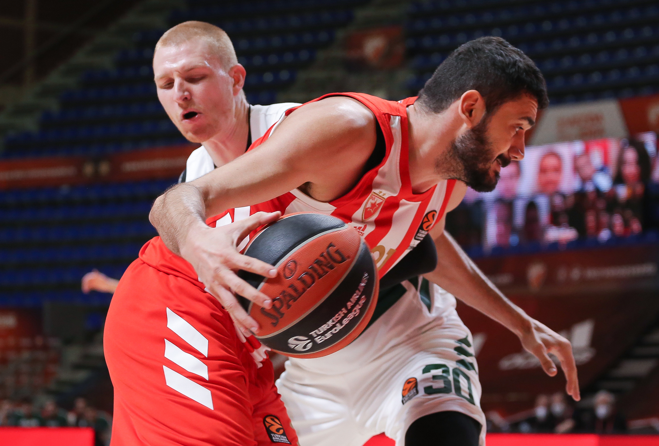 zvezda-panathinaikos-13929