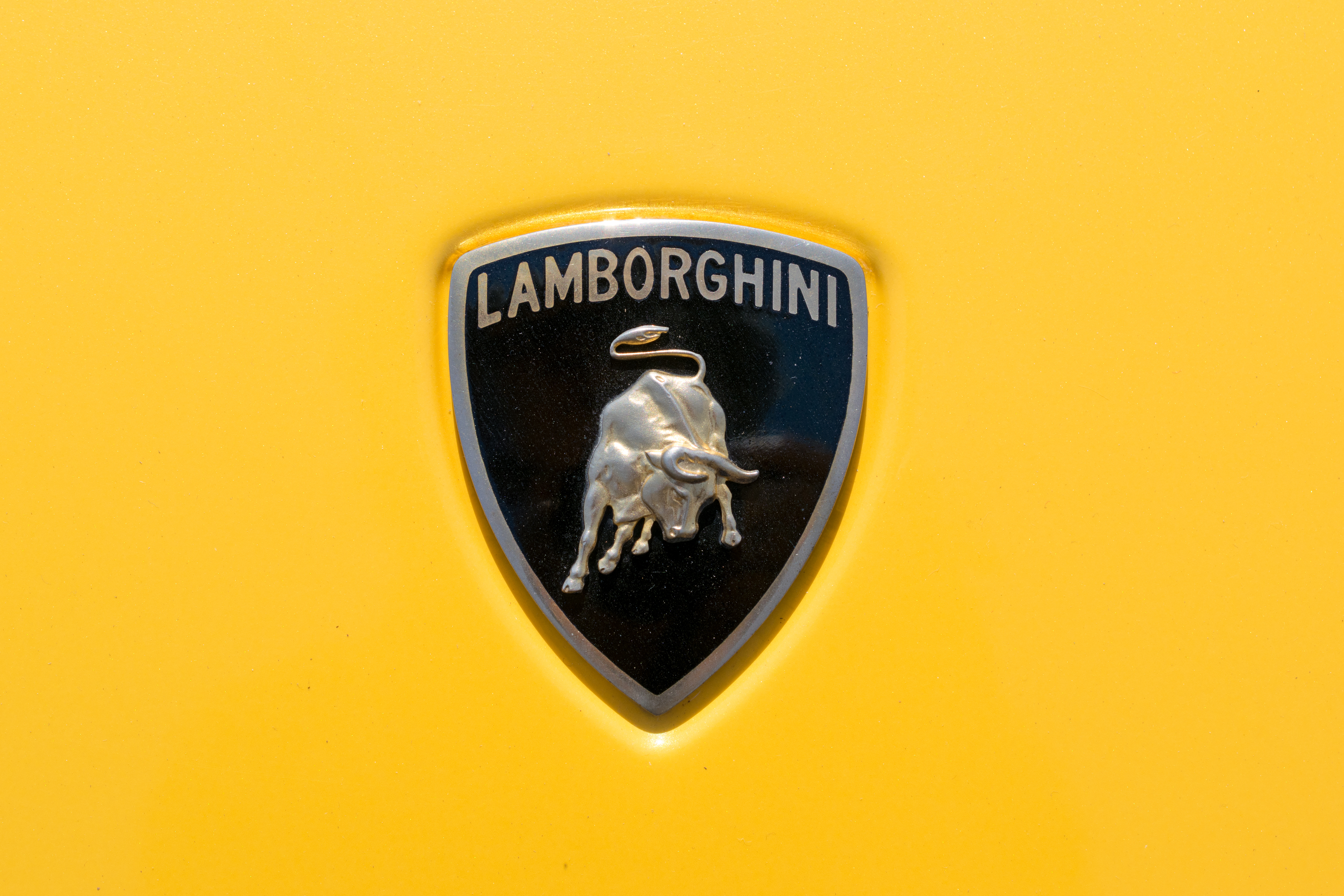 Lambordžini, Lamborghini, auto, automobil Foto: Shutterstock/Roberto Lusso