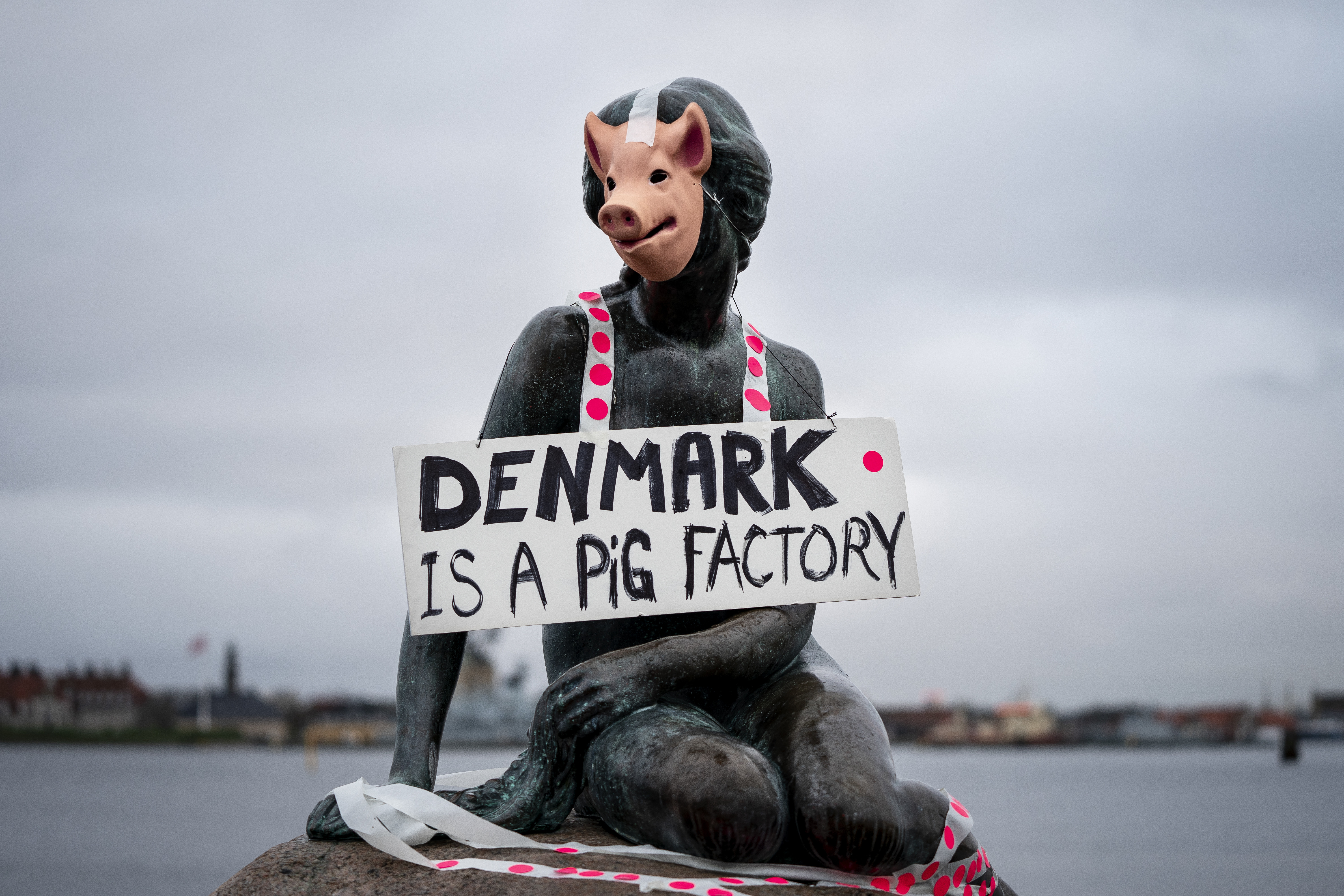 Protest against room conditions for pigs