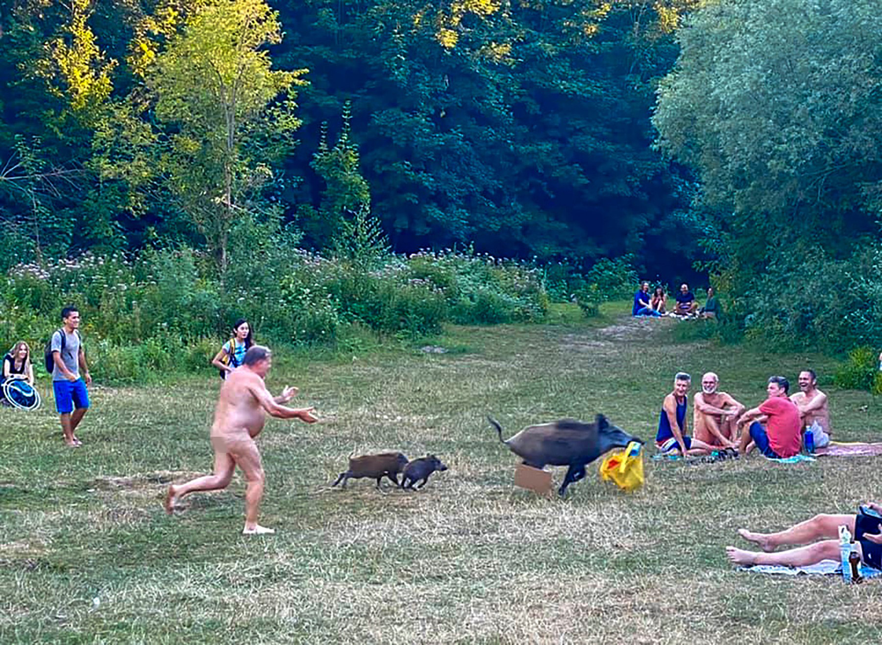 profimedia-0550758305