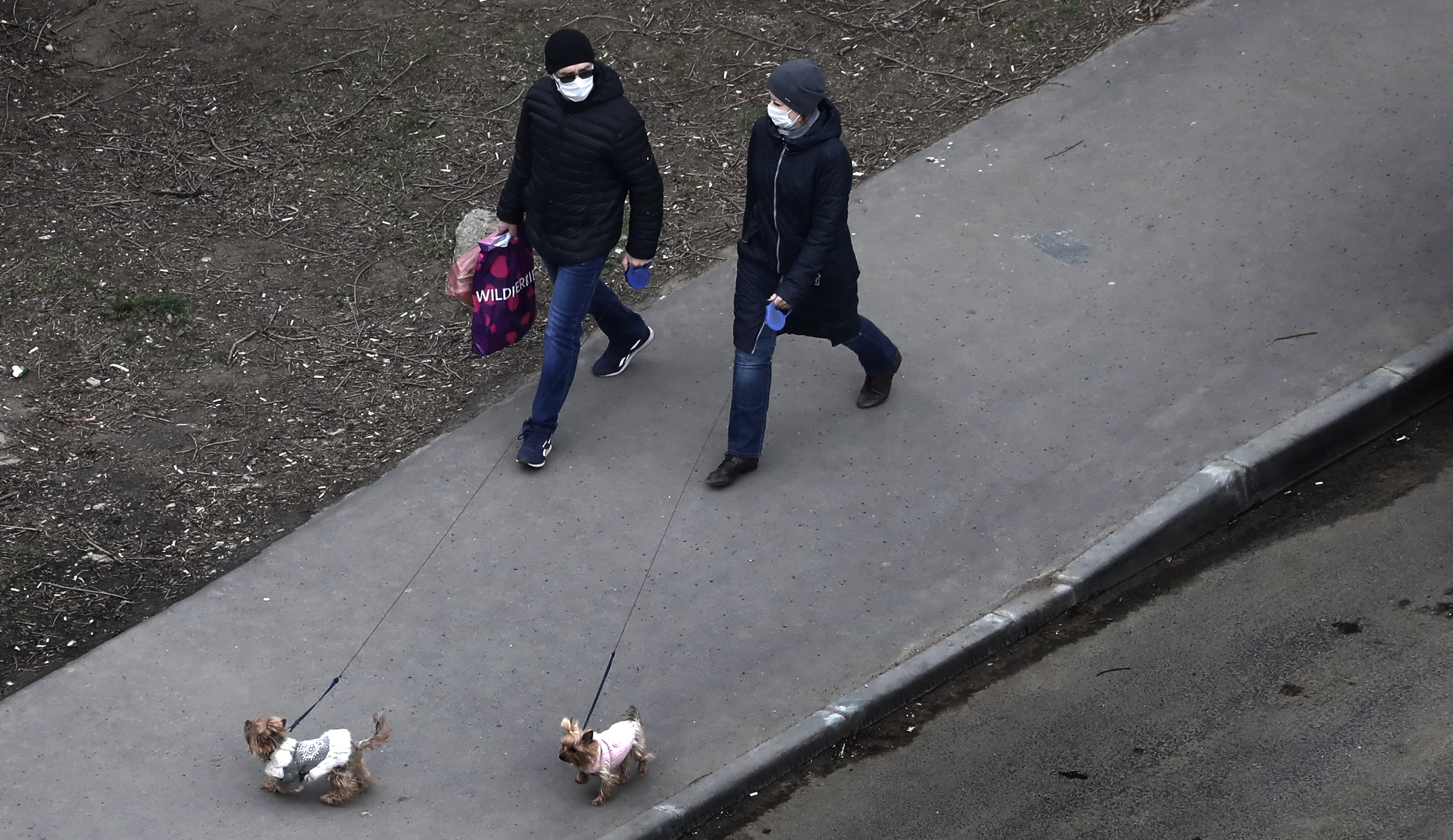 Coronavirus situation in Russia