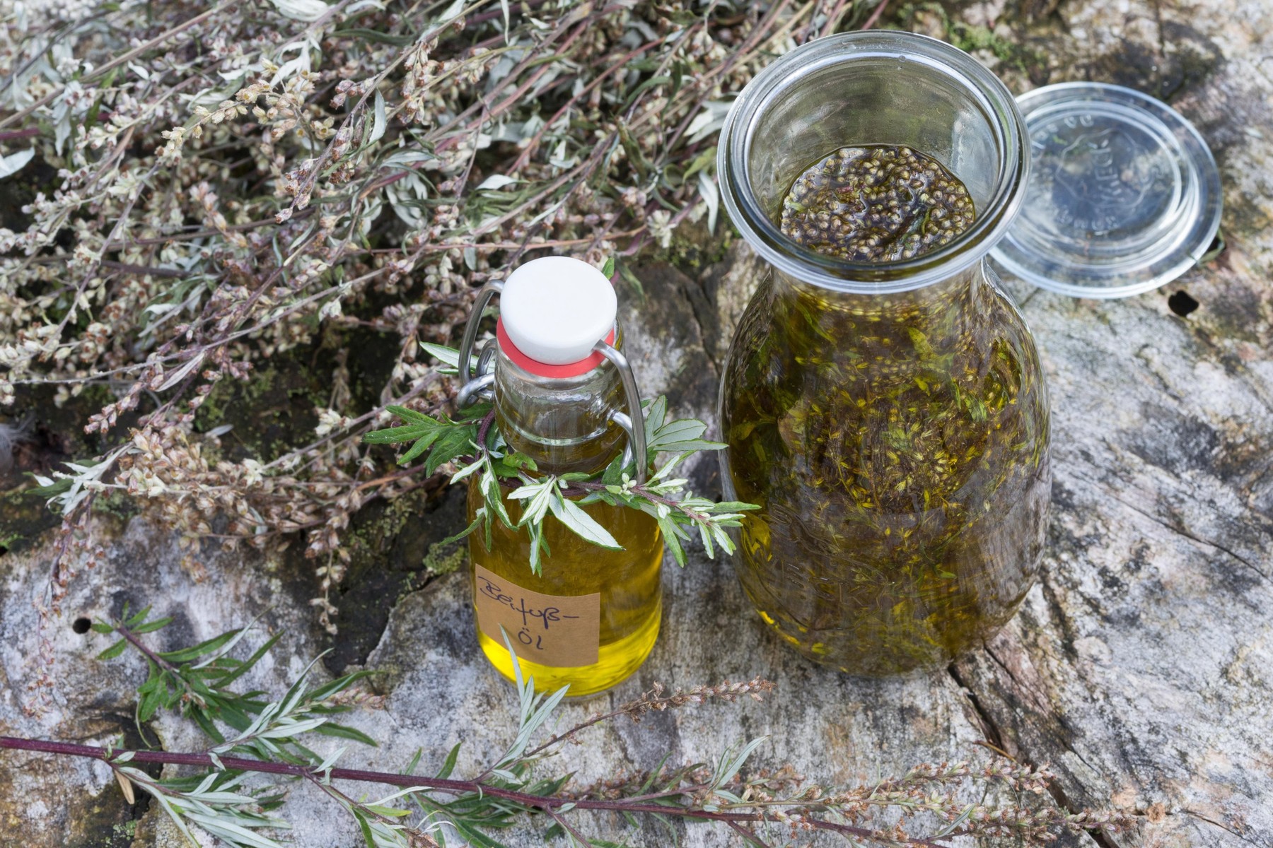 Beifuss-Öl, Beifuß-Öl, Beifussöl, Beifußöl, Gewöhnlicher Beifuß, Beifuss, Artemisia vulgaris, Mugwort, common wormwood, oil, LArmoise commune, Armois