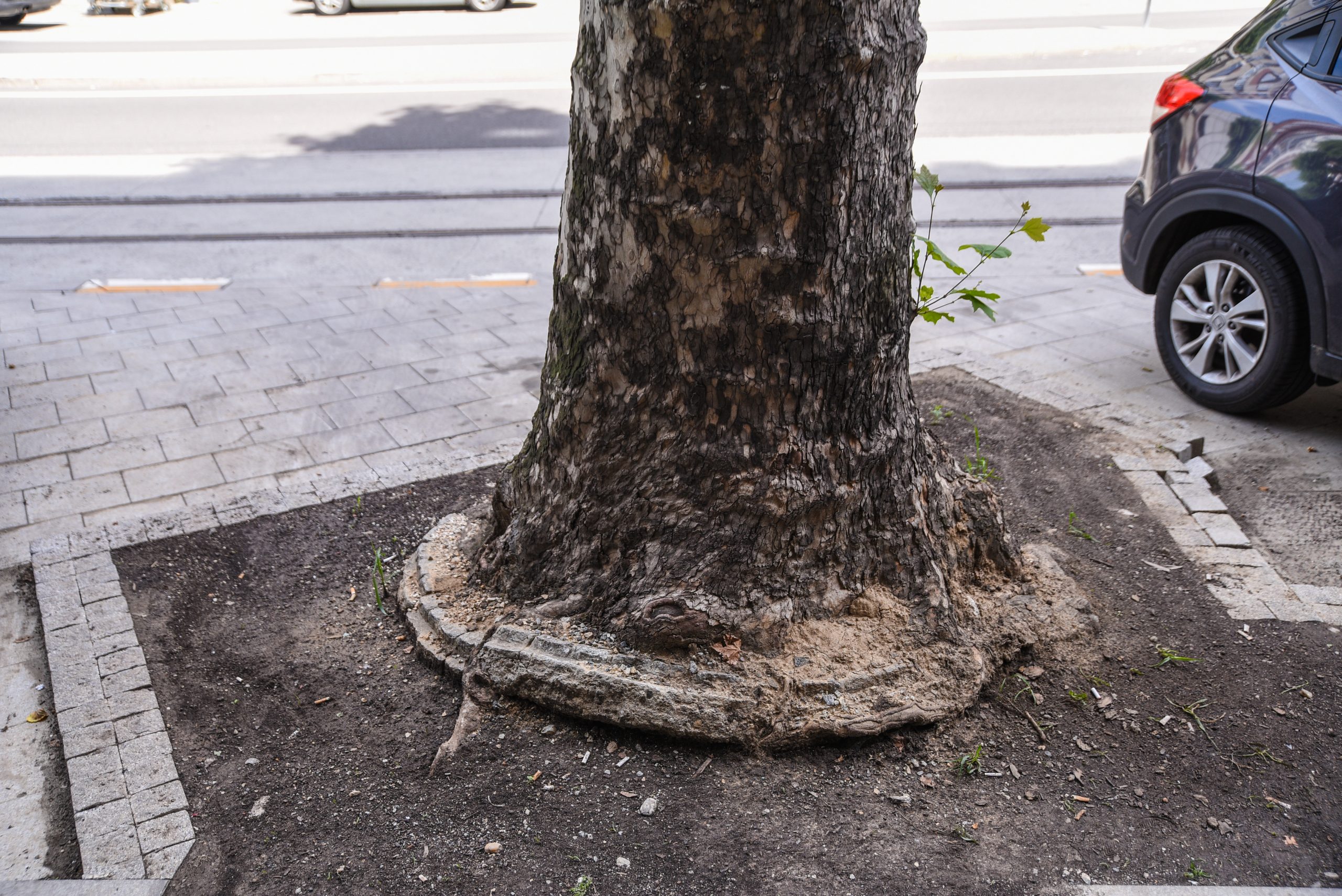 Beograd 04.06.2020. Radovi ulica 27 Marta Dzordza Vasinngtona, trotoar, kocke Foto:Dragan Mujan/Nova.rs