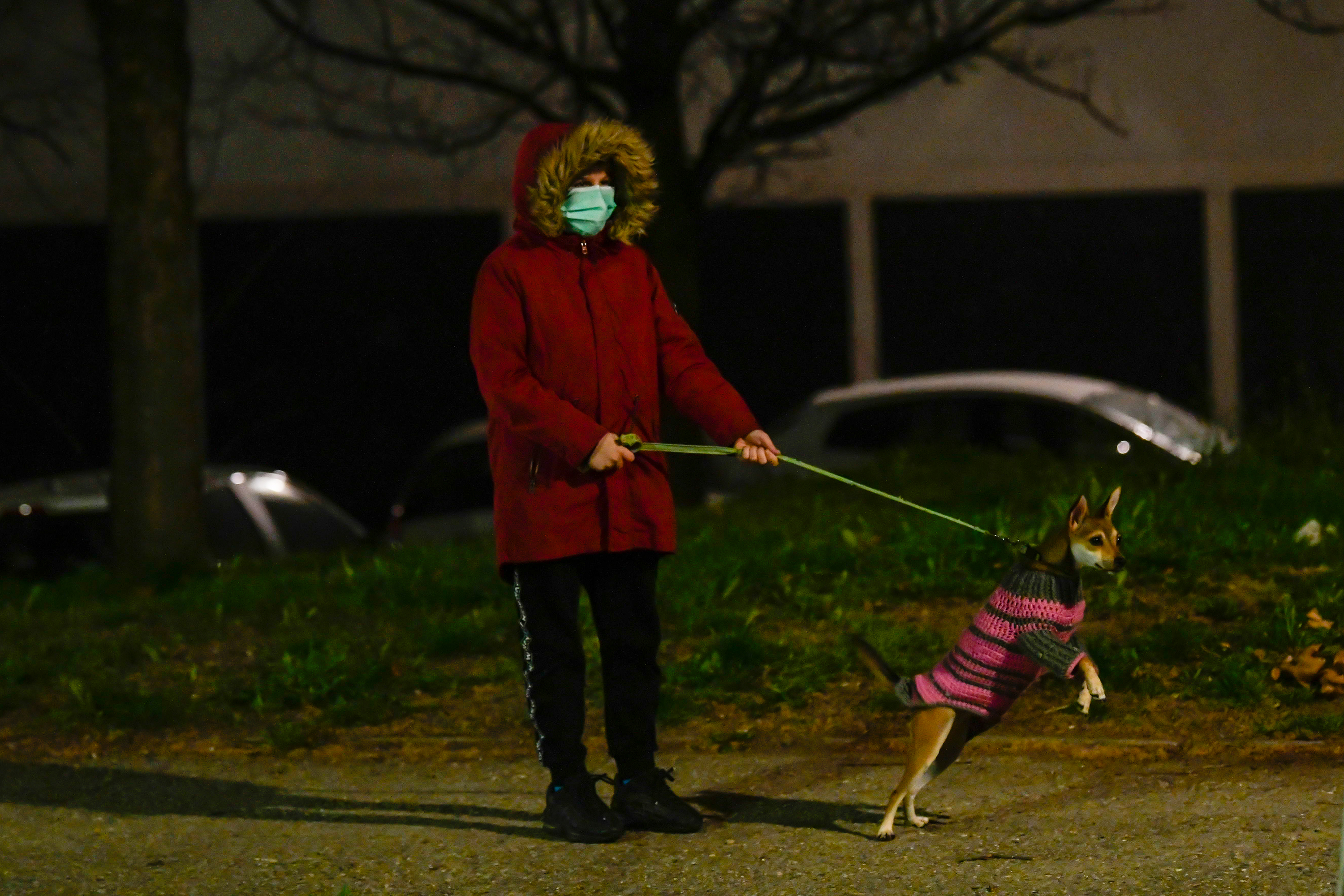 Beograd 23.03.2020 Policijski čas, Šetnja kućnih ljubimaca, Kučići, Pas, Foto:Goran Srdanov/Nova.rs