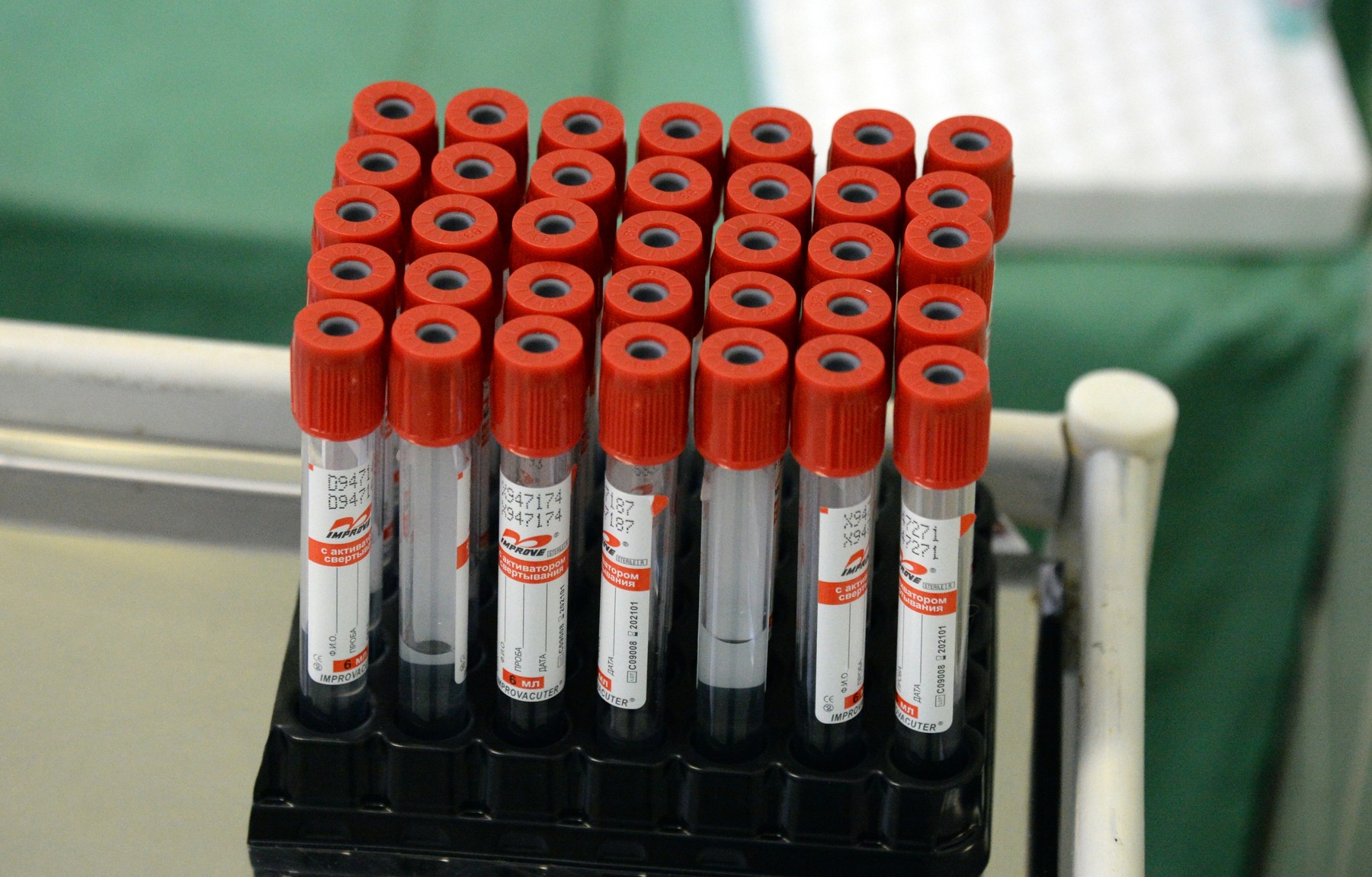 Foto: Vitaliy Ankov / Sputnik / Profimedia