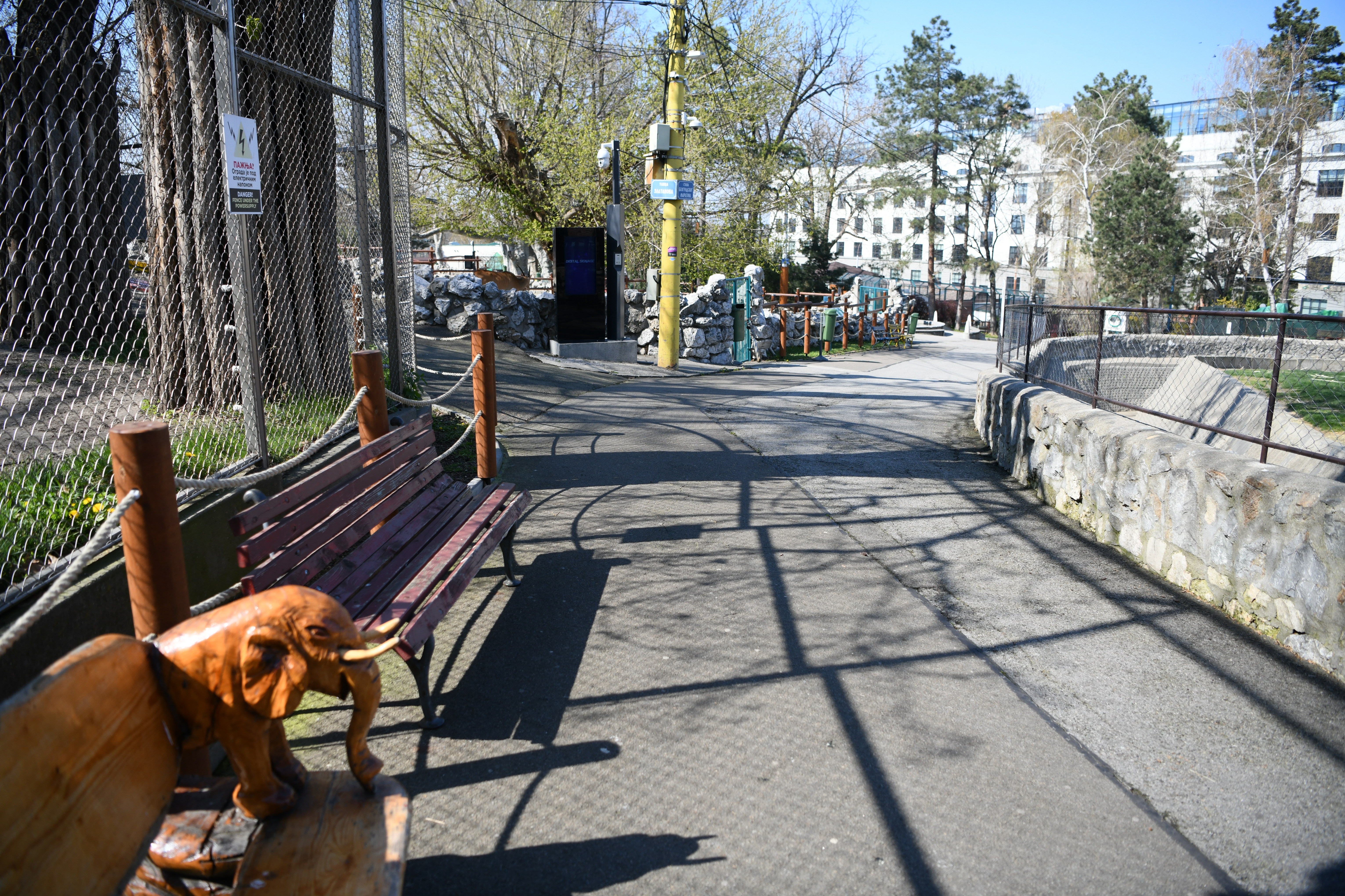 Beograd 03.04.2020. Beo Zoo Vrt, Zoološki vrt, Vrt dobre nade, prazan zoo vrt, nema posetilaca, vanredno stanje, koronavirus Foto: Vesna Lalić/Nova.rs