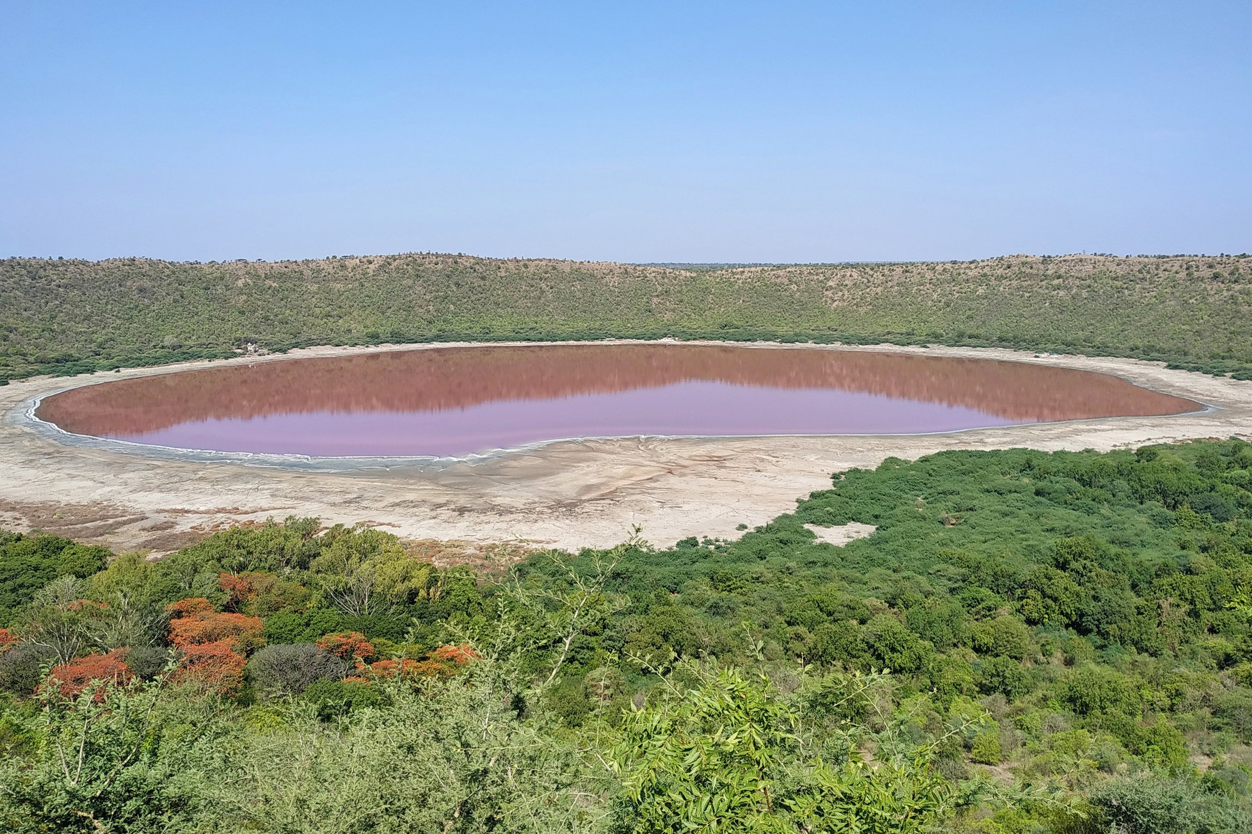 Lonar, Indija, jezero, roze, profimedia-0530272523