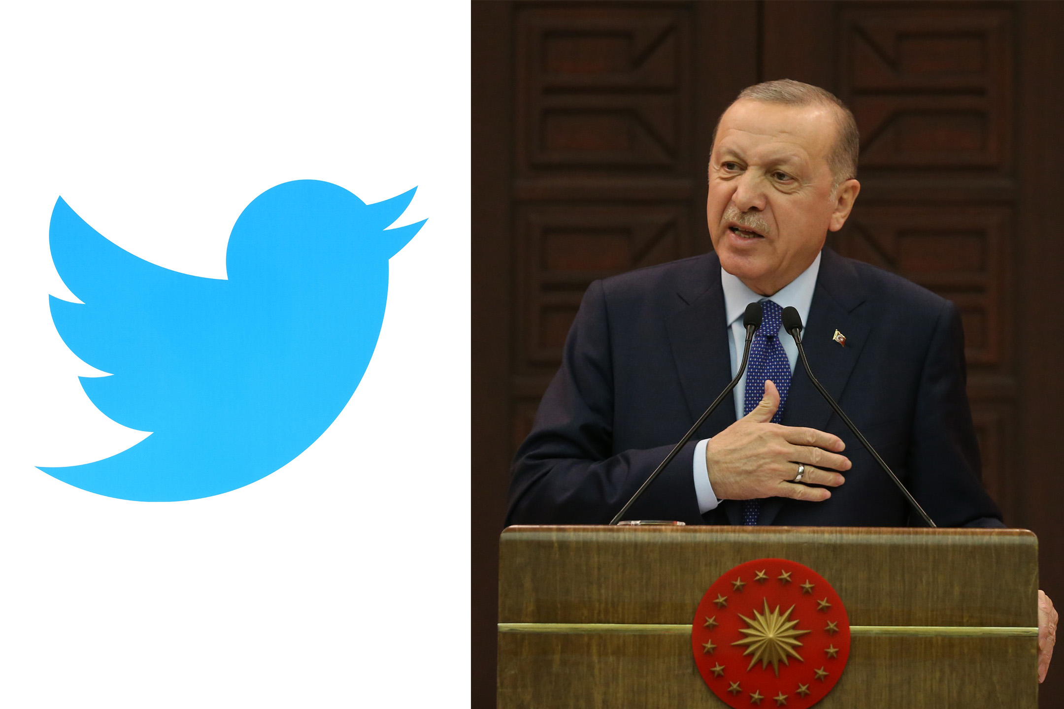 Tviter ptičica, Redžep Tajip Erdogan Foto: Shutterstock/rvlsoft/Depo Photos / Zuma Press / Profimedia