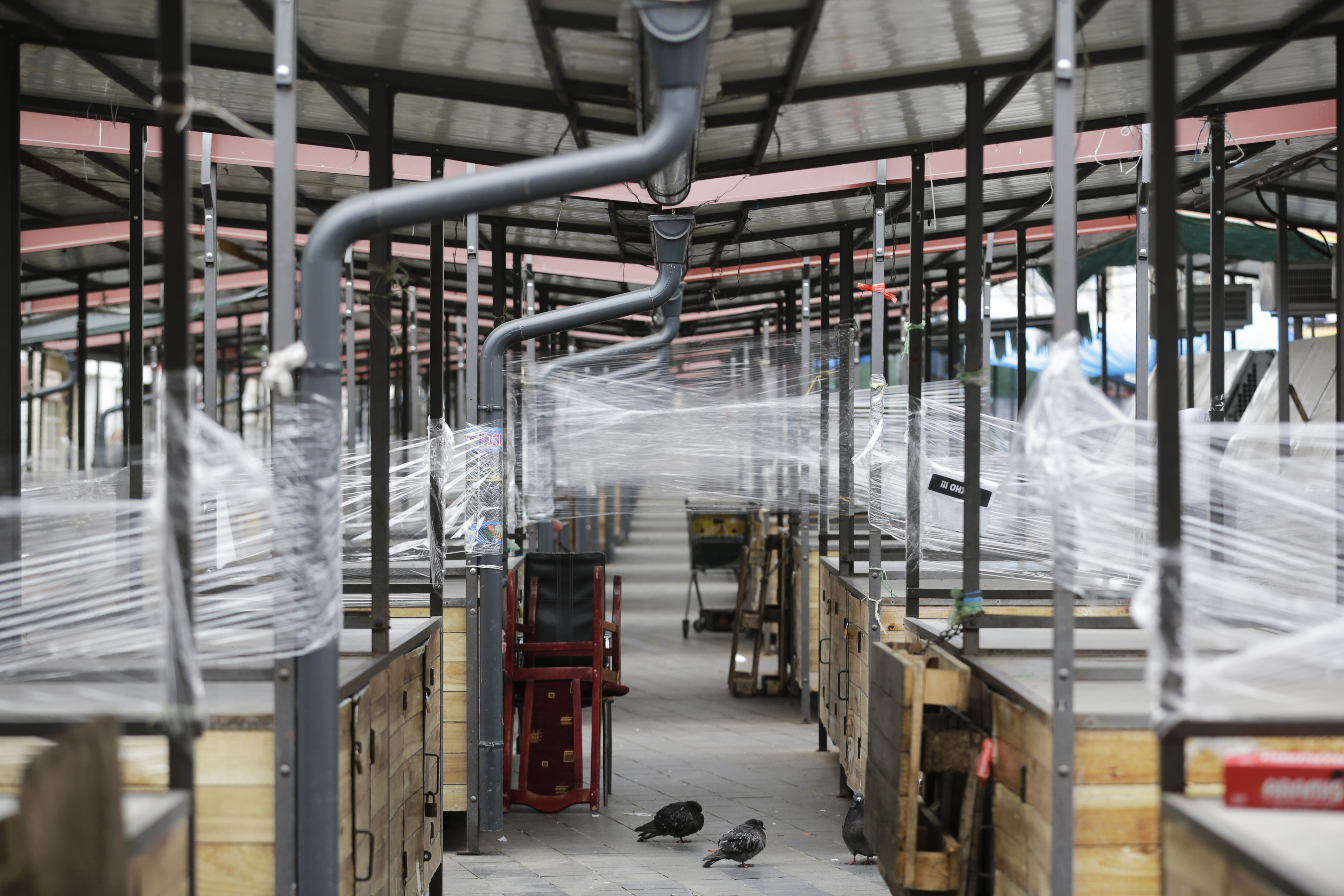 State of emergency in Serbia due to coronavirus COVID-19 pandemic