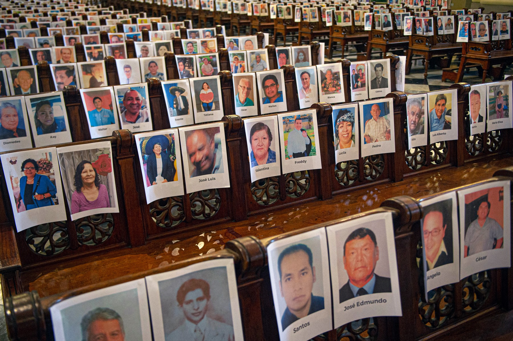 profimedia-0531531005