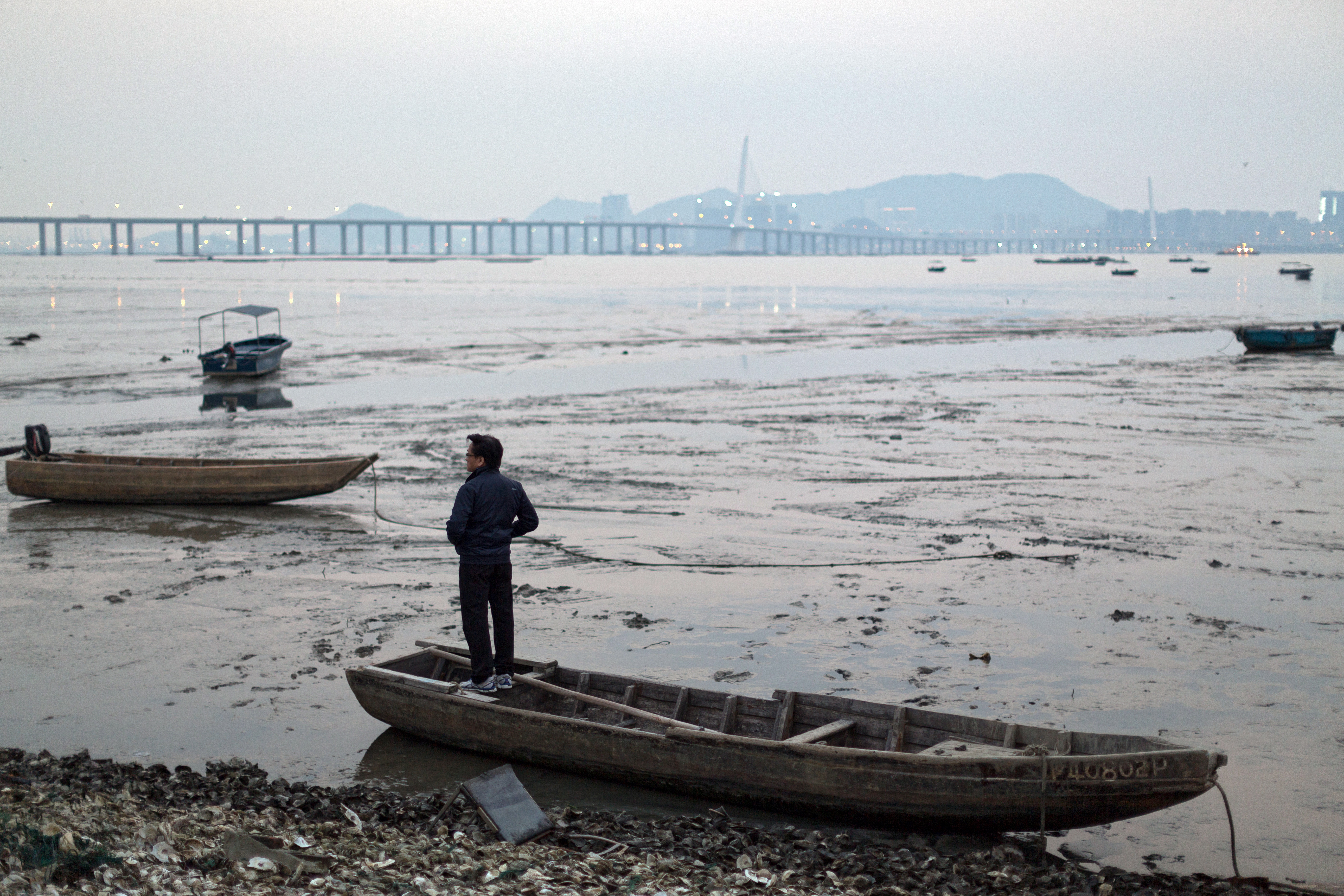 Lau Fau Shan, Szenzhen Bay