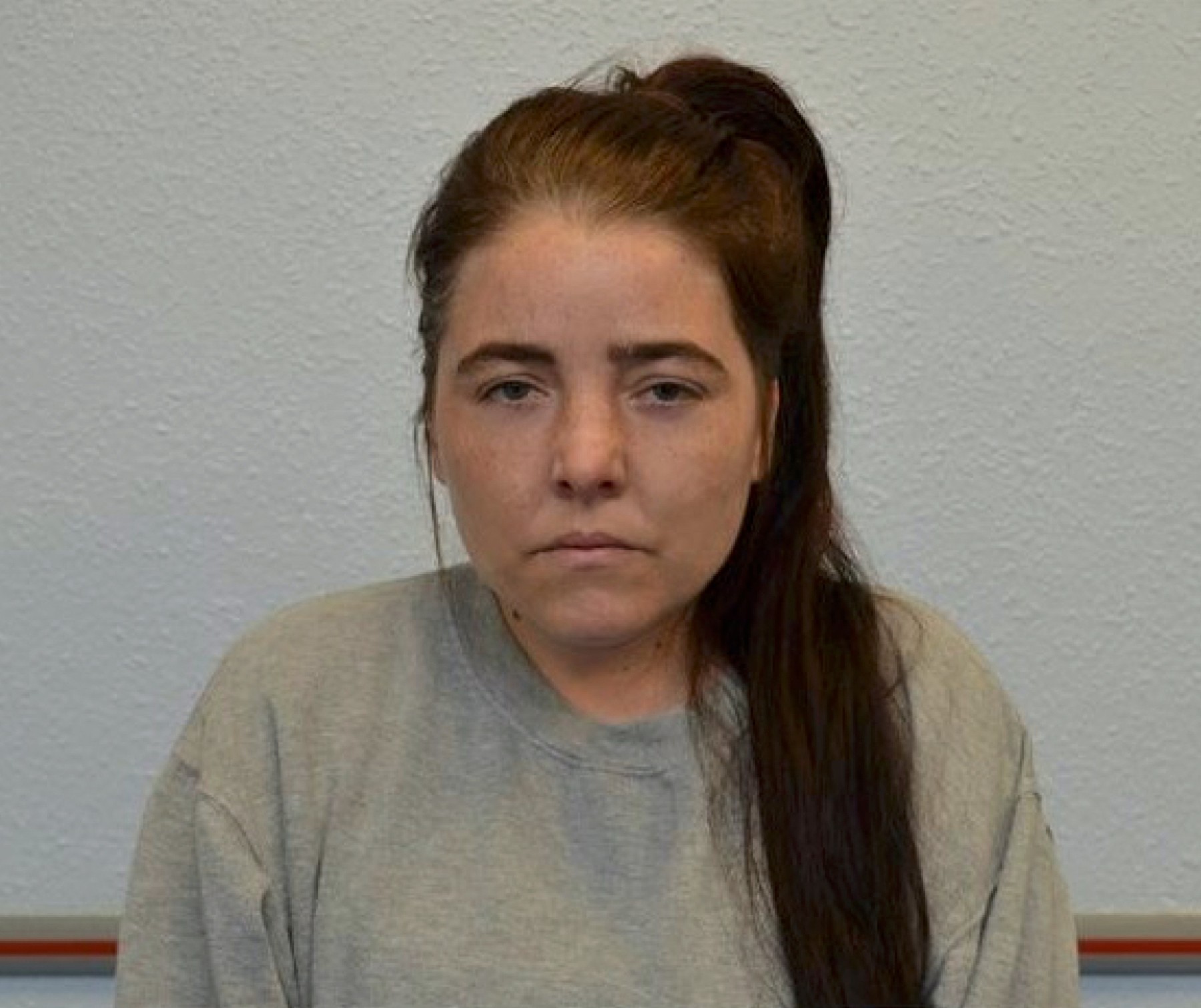 Islamic State supporter admits St Paul's Cathedral bomb plot