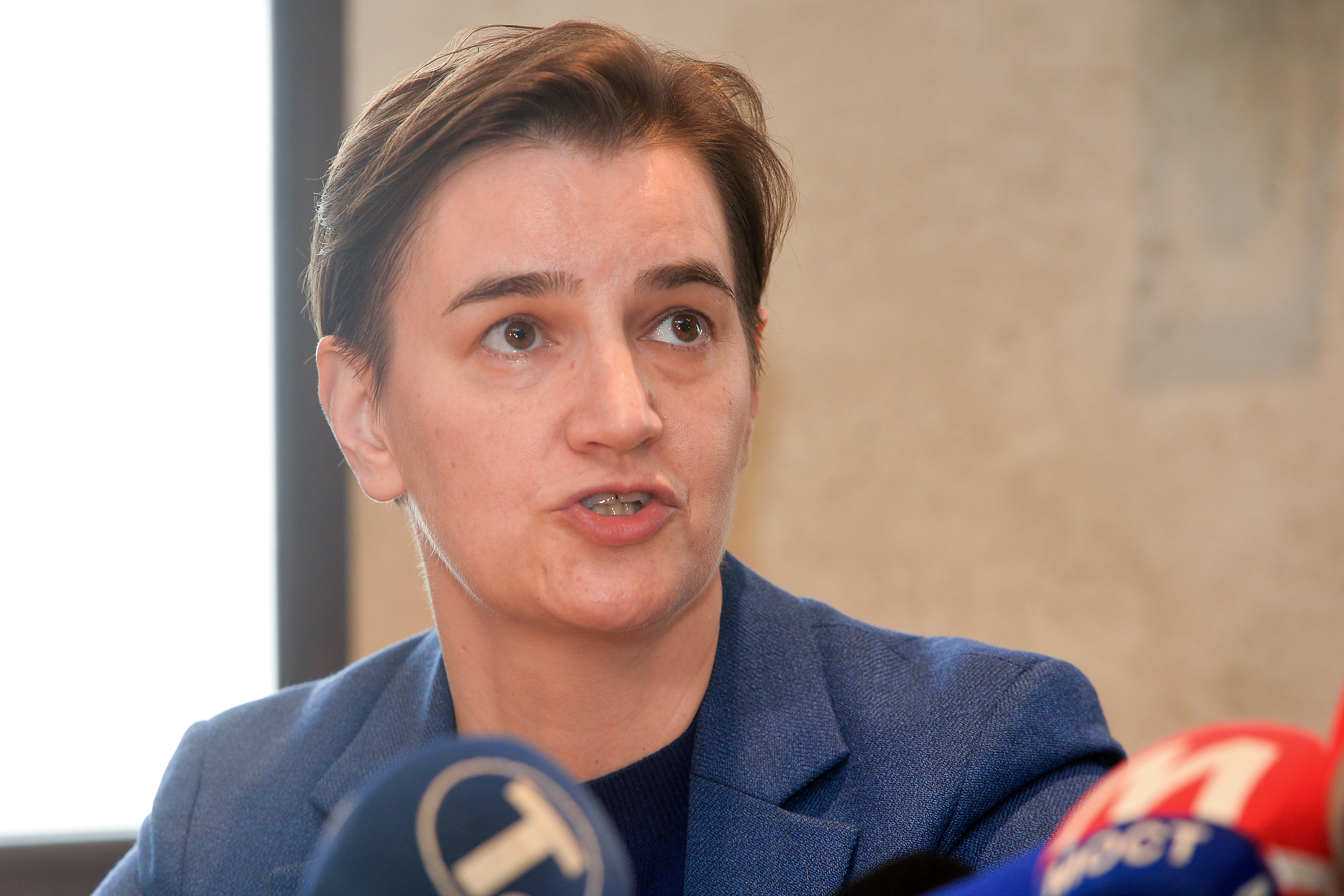 Fruška gora, 7. marta 2020 - Predsednica Vlade Republike Srbije Ana Brnabić, danas u poseti vinariji u Maloj Remeti na Fruškoj gori. FOTO TANJUG/ ZORAN ZESTIC/ bs