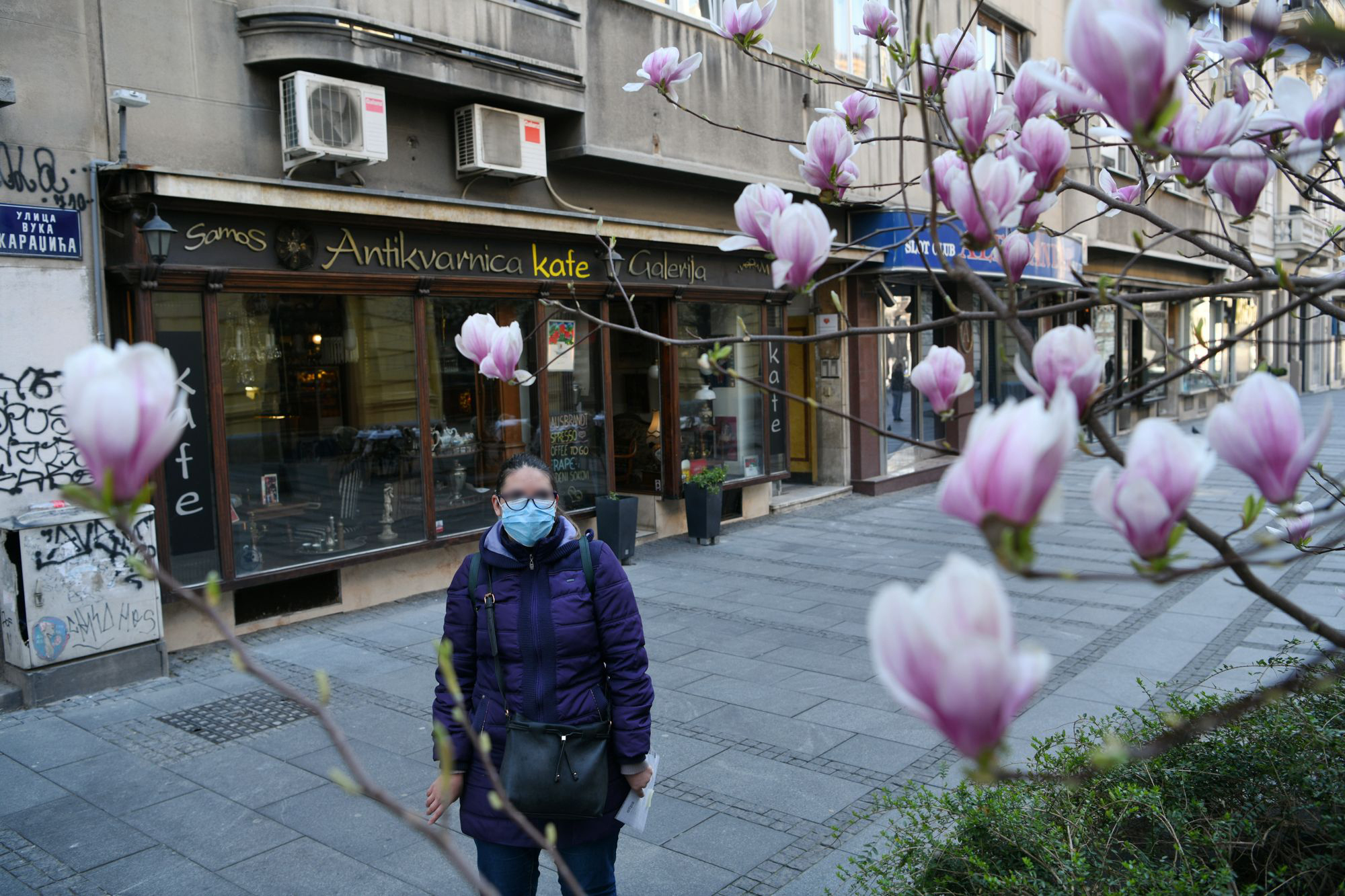 Beograd 19.03.2020. Vanredno stanje, koronavirus, coronavirus, ulice, grad, dan, prazan grad, maska, maske, magnolije procvetale pokrivalice Foto: Filip Krainčanić/Nova.rs