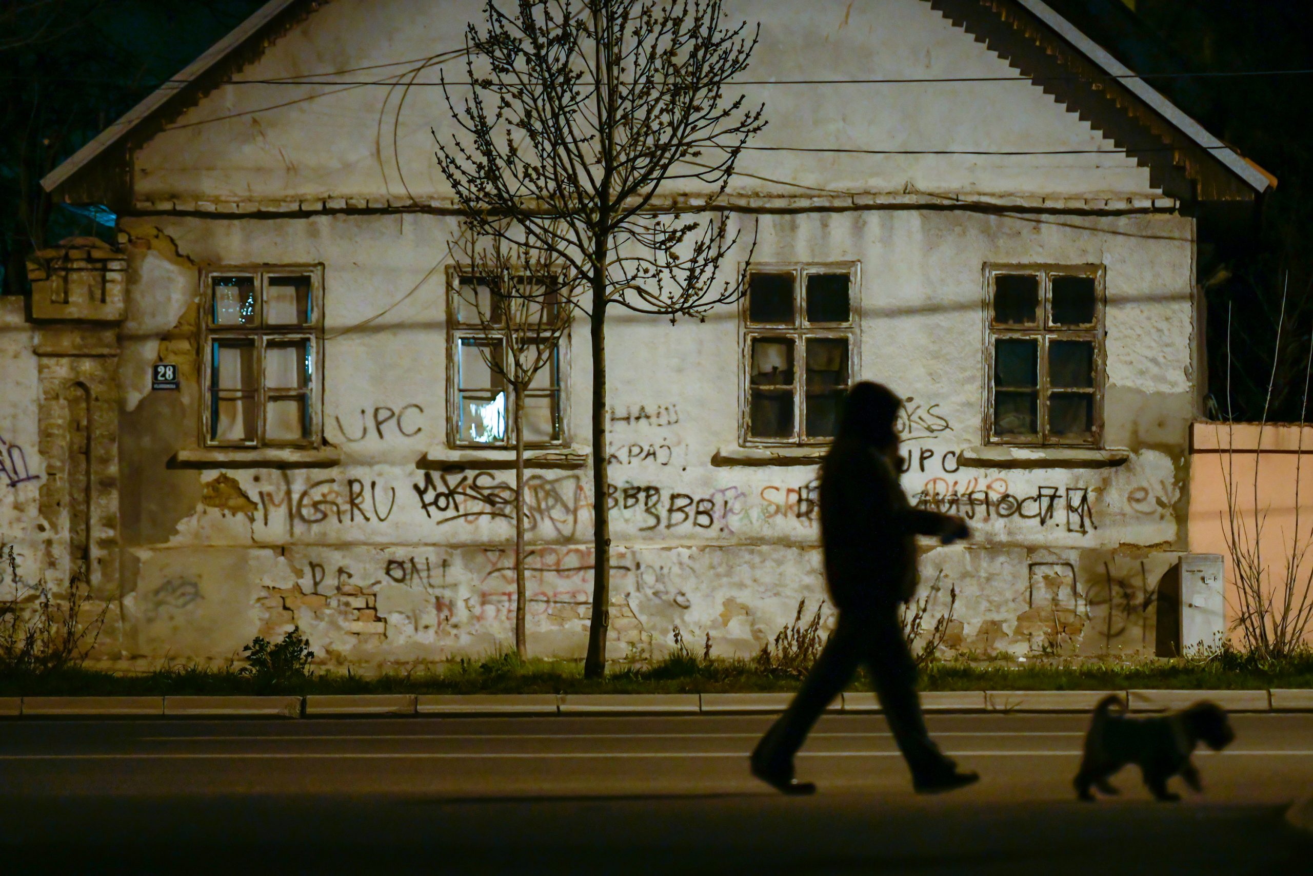 Beograd 23.03.2020 Policijski čas, Šetnja kućnih ljubimaca, Kučići, Pas, Foto:Goran Srdanov/Nova.rs