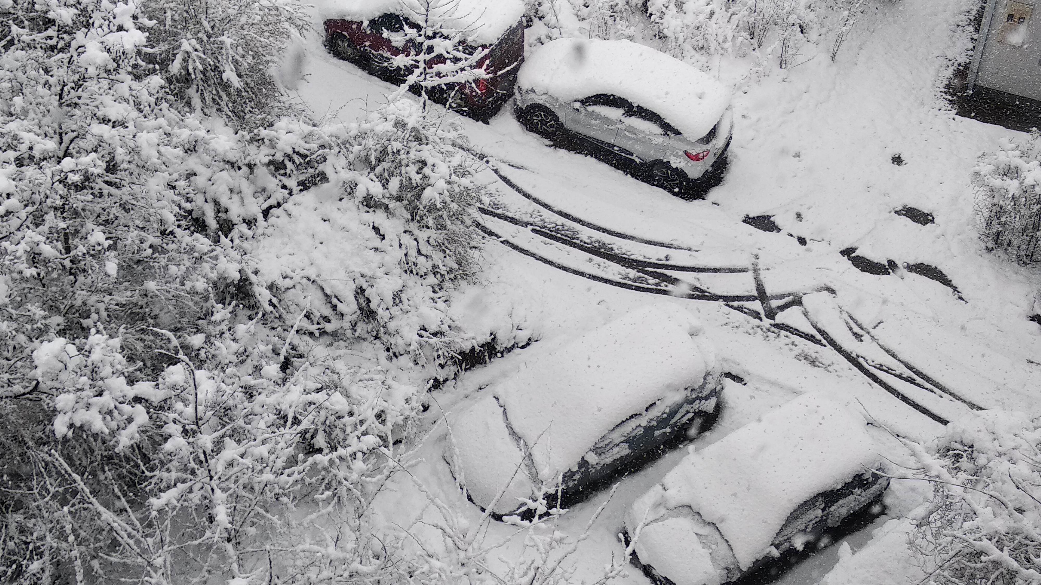 Beograd 24.03.2020. Sneg, zima, hladno vreme, sneg u proleće, vanredno stanje, koronavirus Foto: Zoran Lončarević/Nova.rs