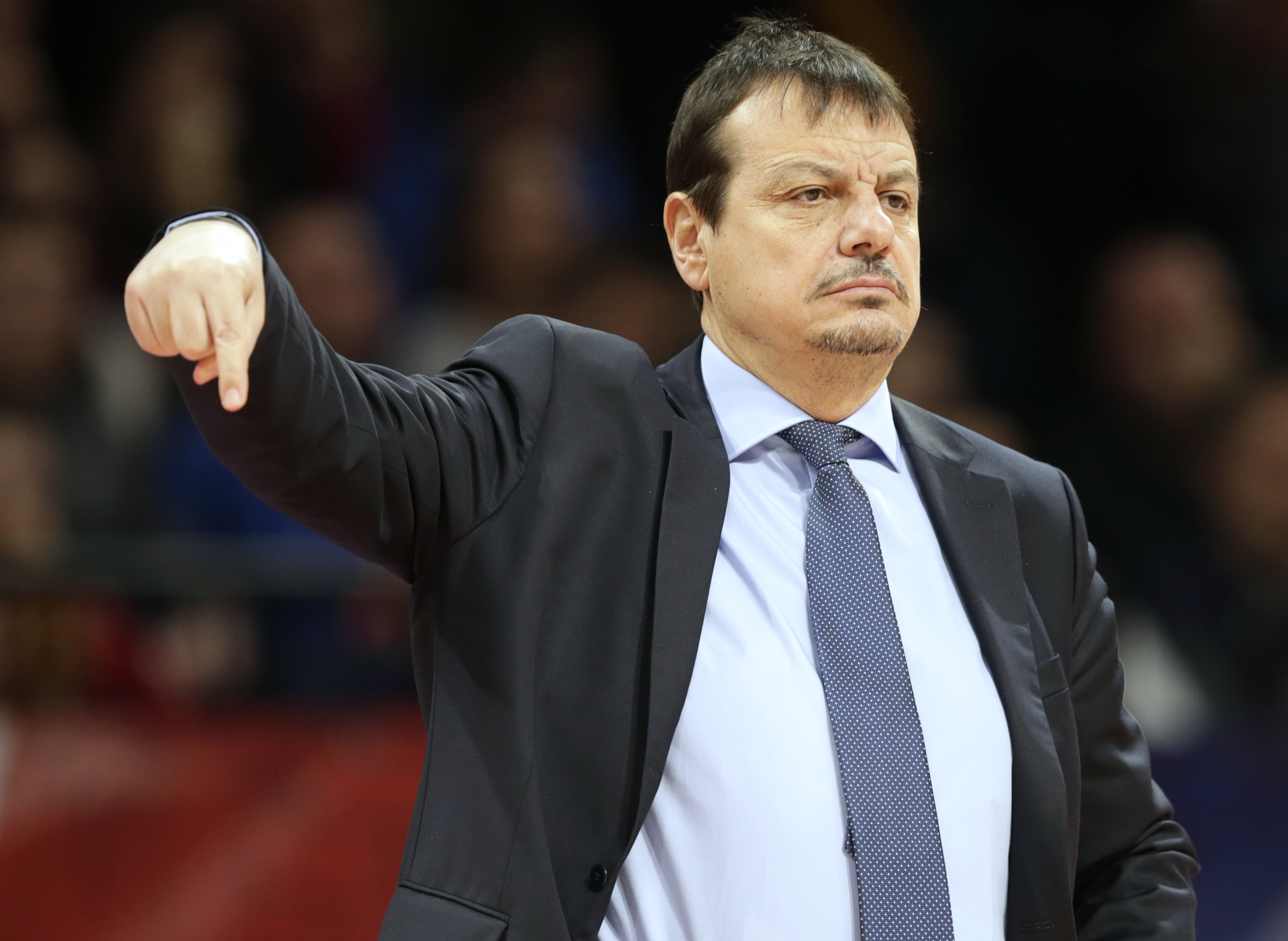 Red Star vs Anadolu Efes