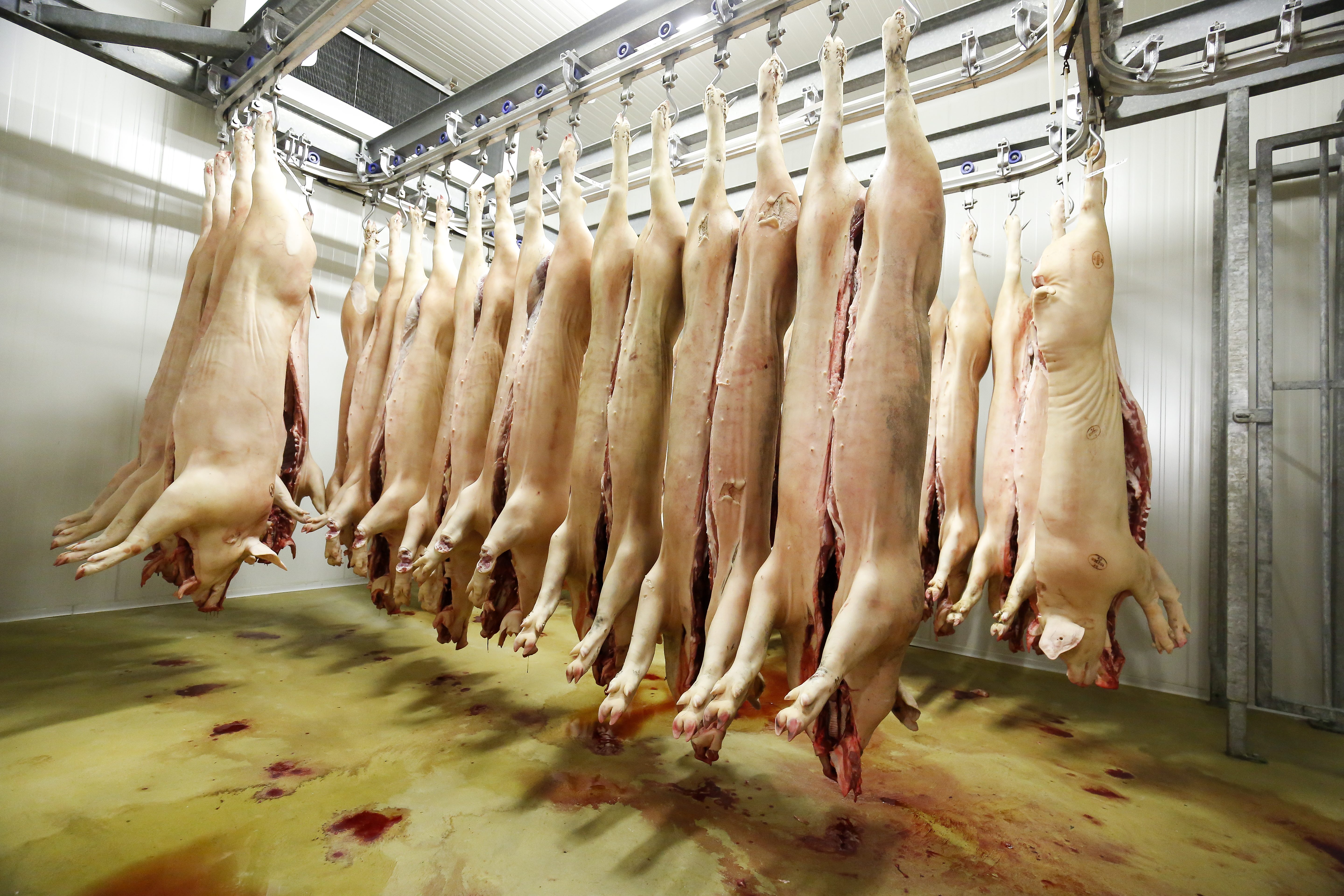 EPA-EFE/JULIEN WARNAND