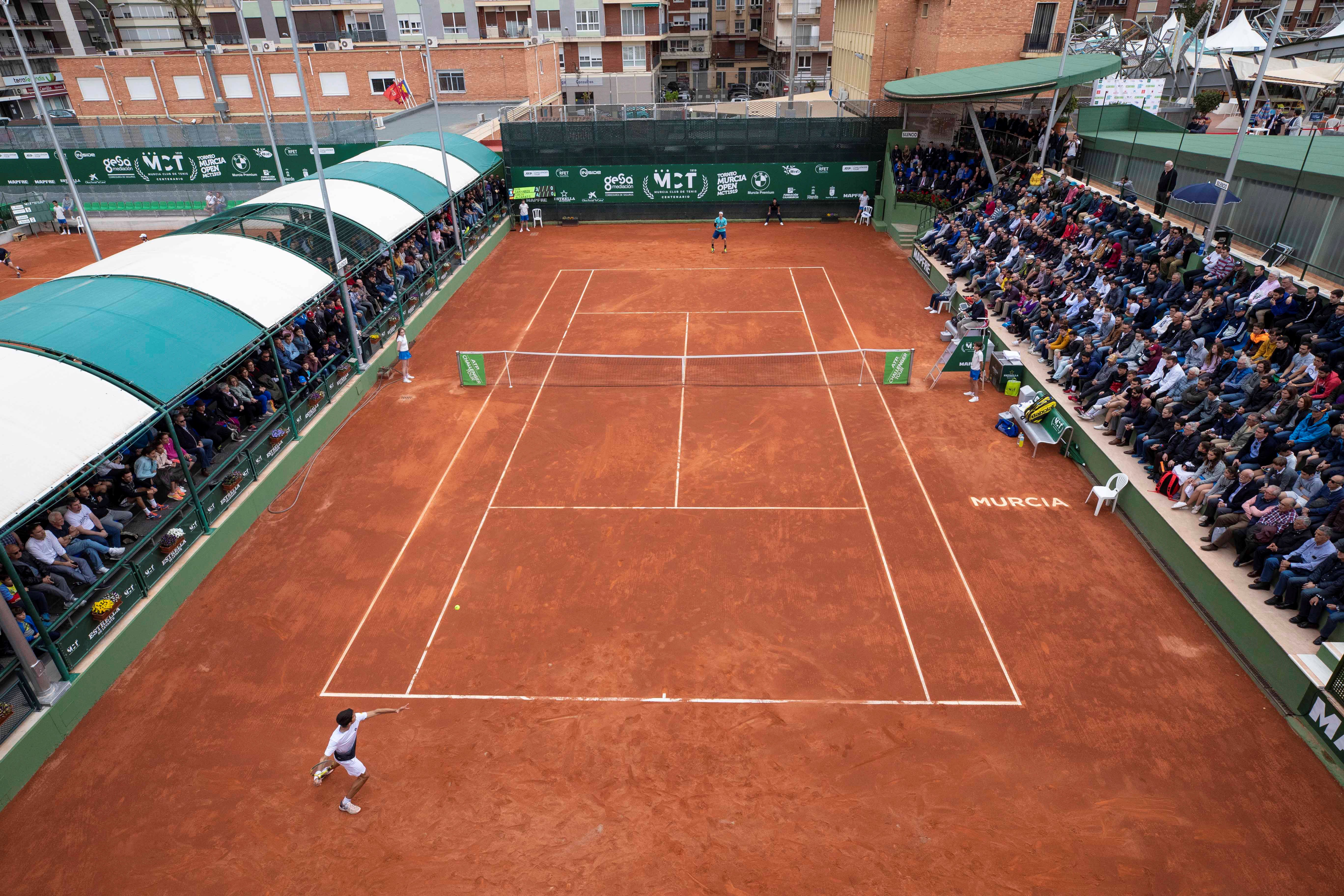 Tenis
