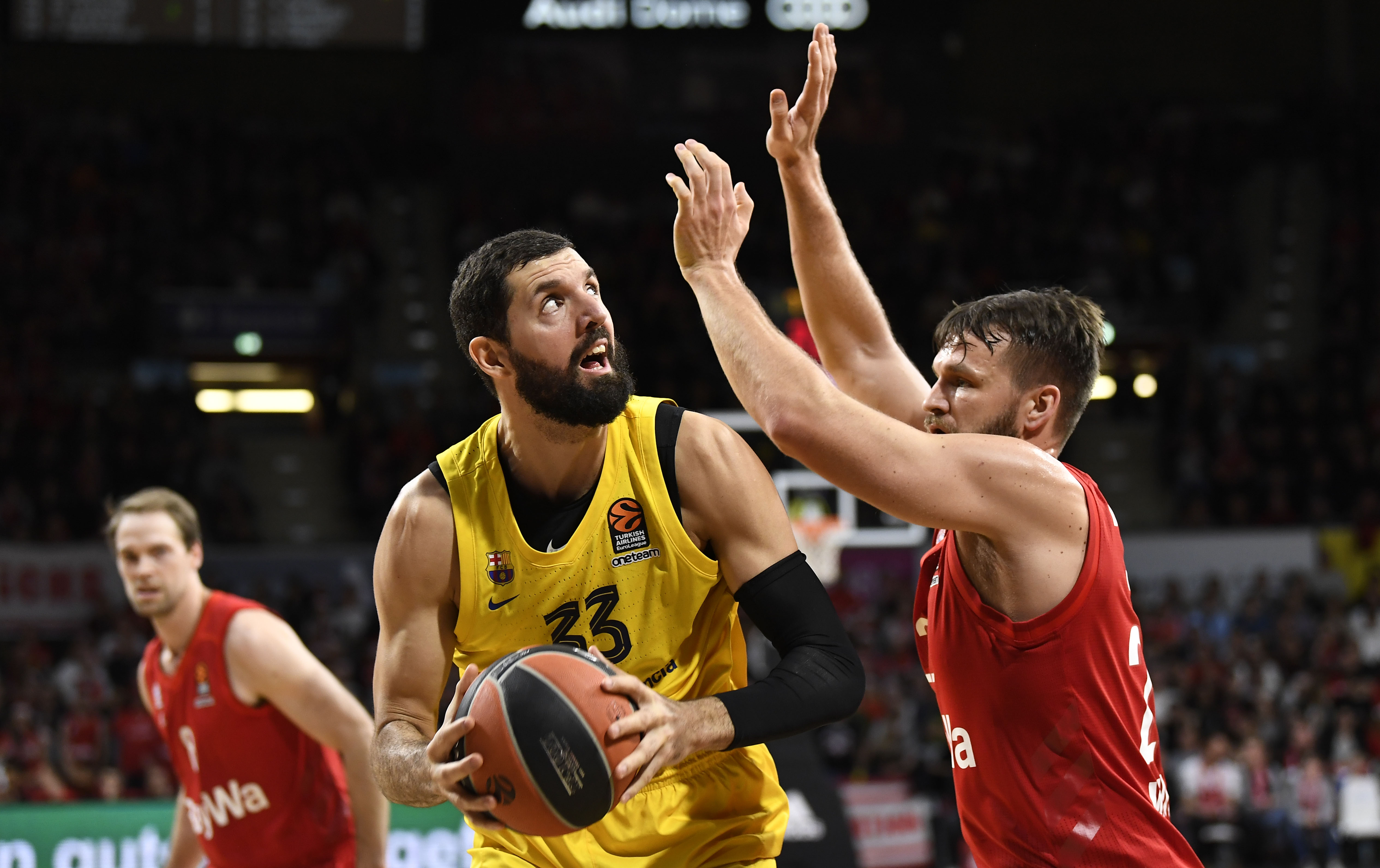 Mirotić, Foto: EPA-EFE/LUKAS BARTH-TUTTAS