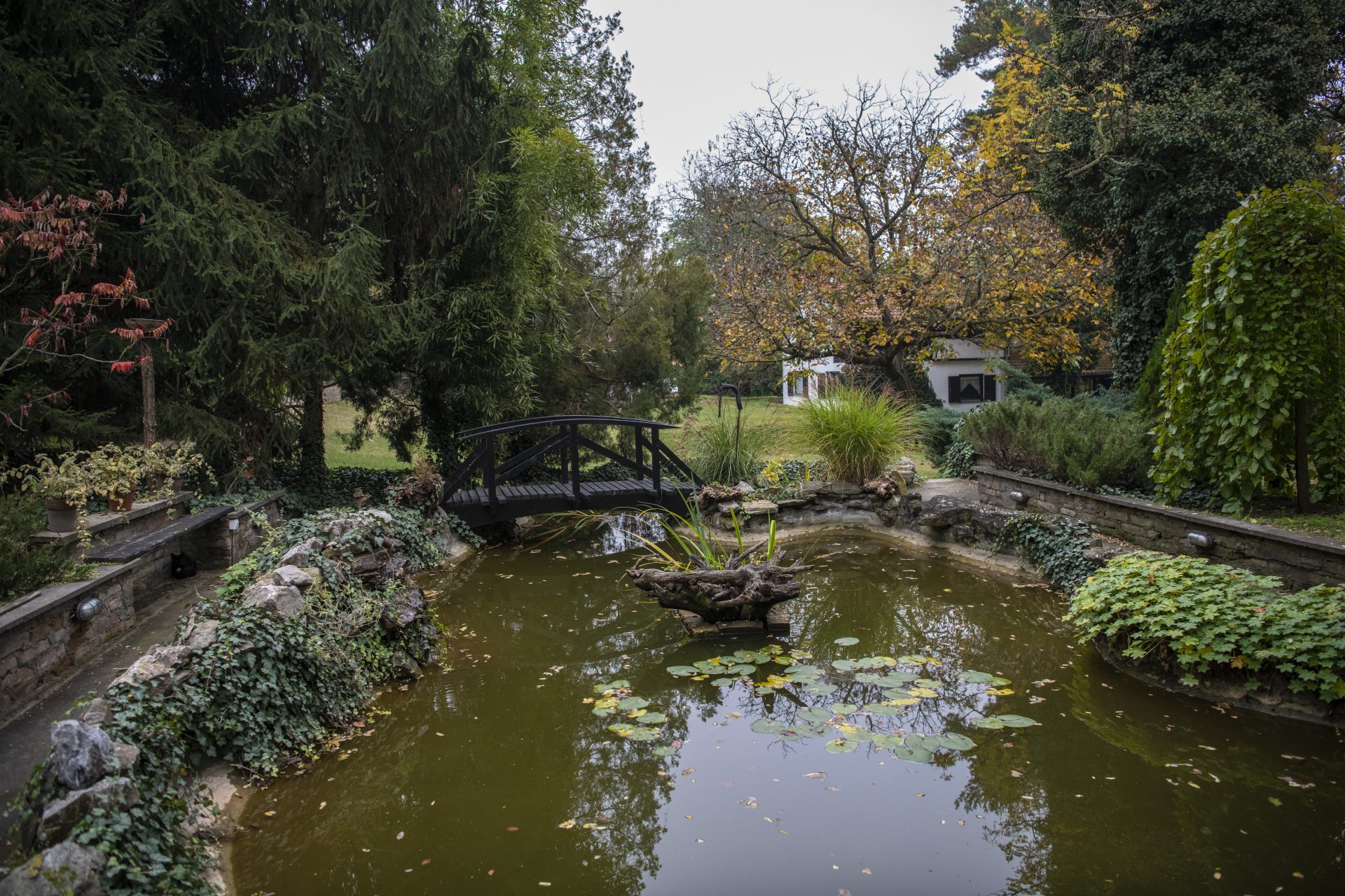 Pančevo, 29.10.2020. Aleksandar Cvetković slikar, intervju i kuća, u gostima kod slikara Aleksandra Cvetkovića, kuća, stan, gajba Foto: Dragan Mujan/Nova.rs