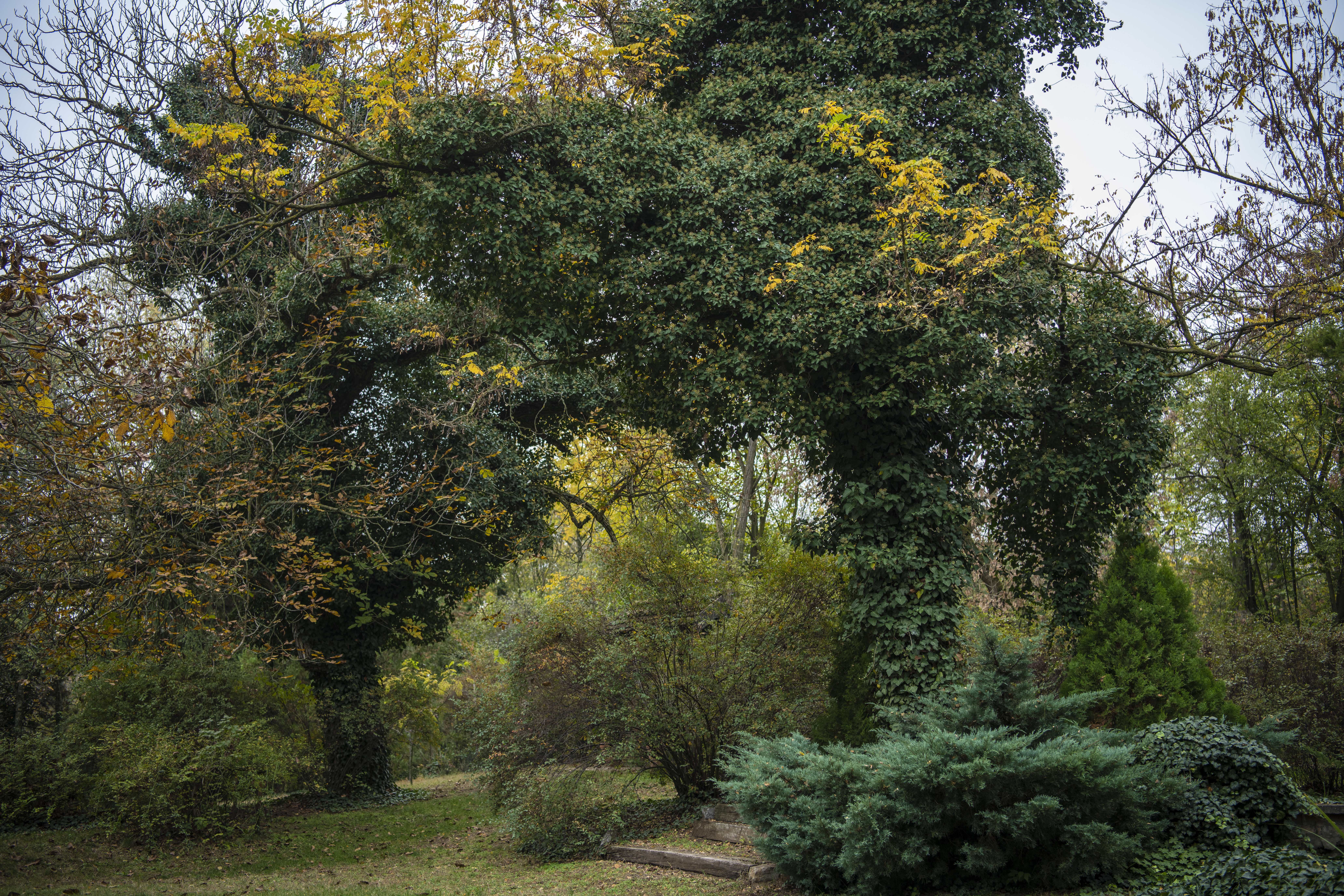 Pančevo, 29.10.2020. Aleksandar Cvetković slikar, intervju i kuća, u gostima kod slikara Aleksandra Cvetkovića, kuća, stan, gajba Foto: Dragan Mujan/Nova.rs