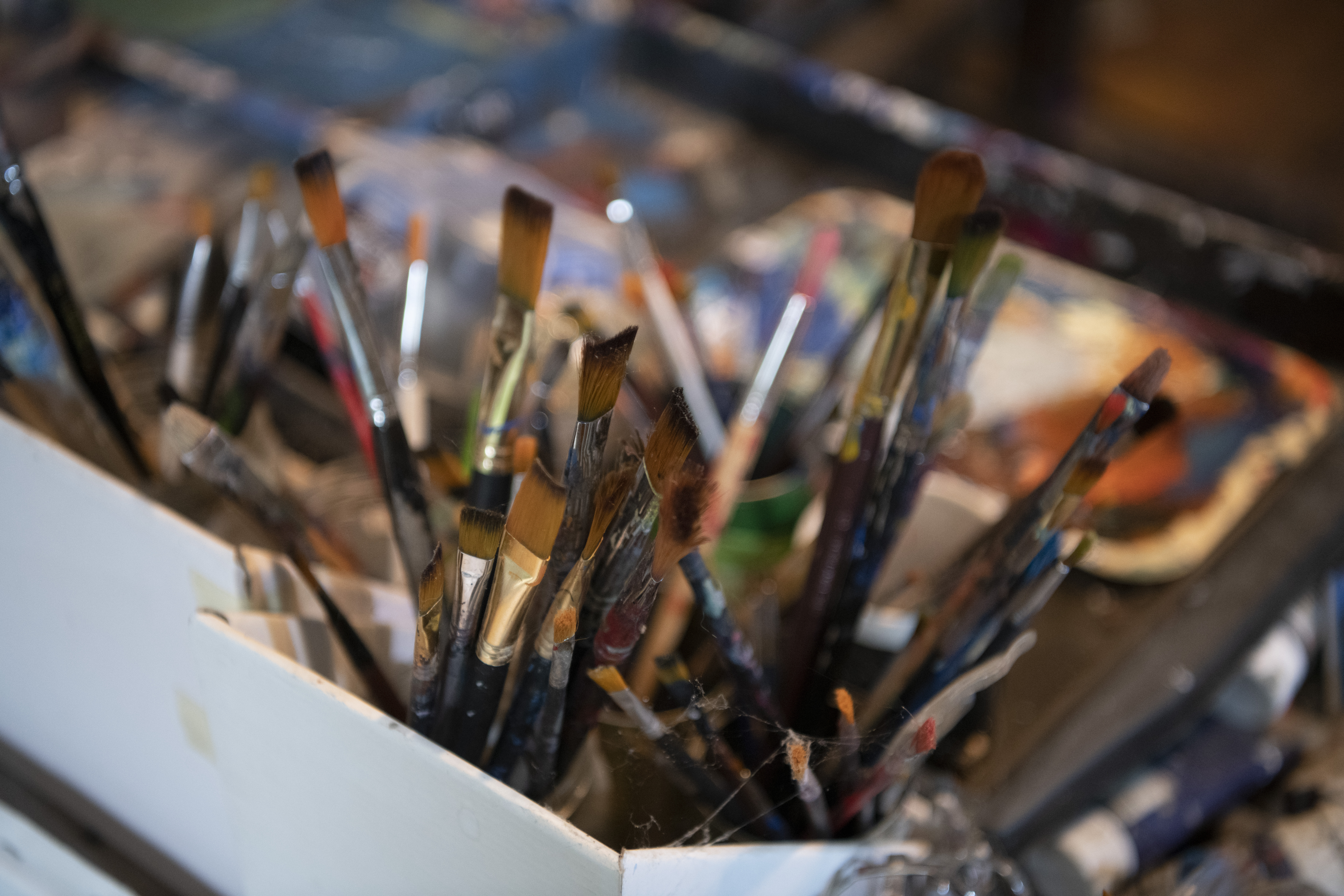 Pančevo, 29.10.2020. Aleksandar Cvetković slikar, intervju i kuća, u gostima kod slikara Aleksandra Cvetkovića, kuća, stan, gajba Foto: Dragan Mujan/Nova.rs