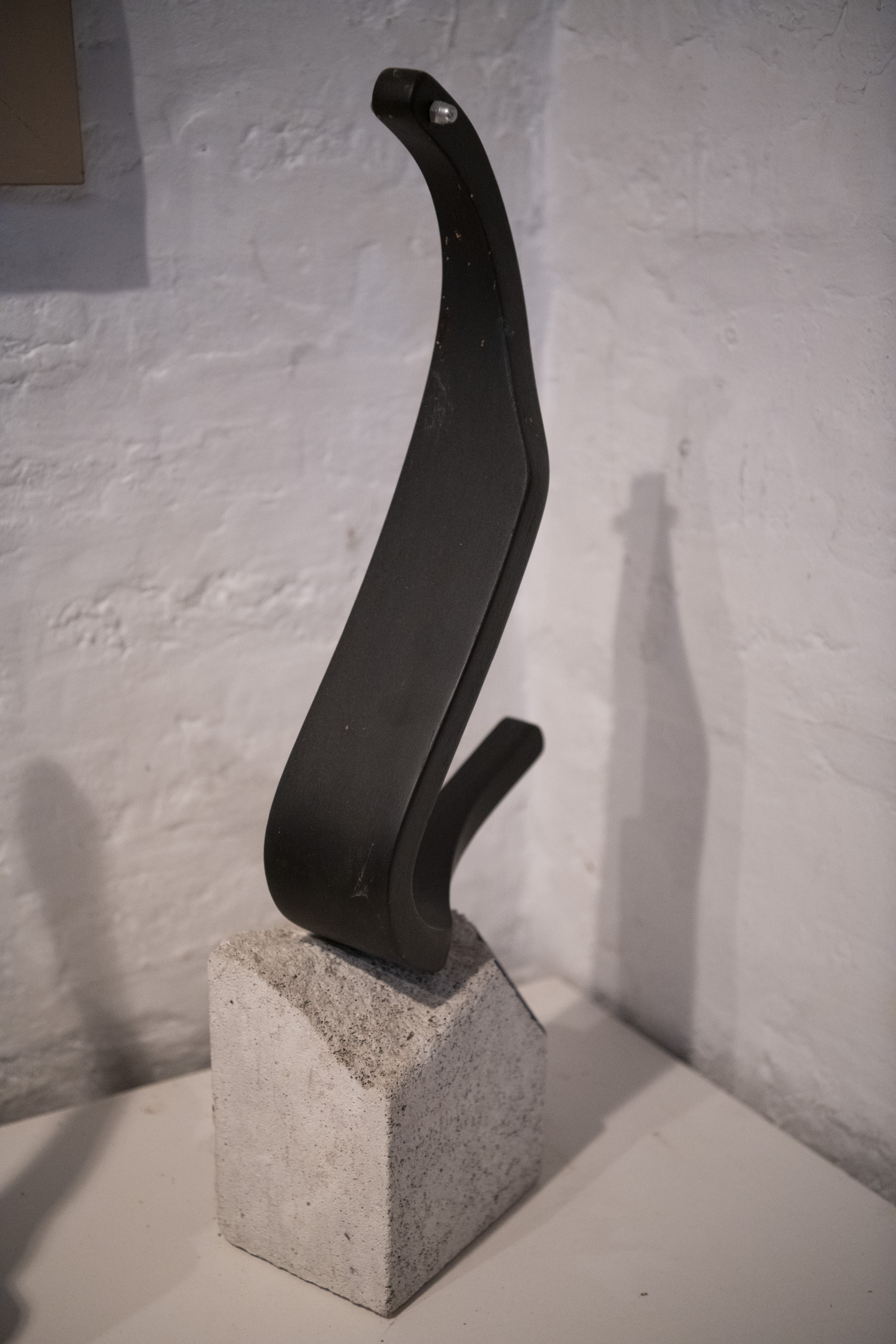 Pančevo, 29.10.2020. Aleksandar Cvetković slikar, intervju i kuća, u gostima kod slikara Aleksandra Cvetkovića, kuća, stan, gajba Foto: Dragan Mujan/Nova.rs