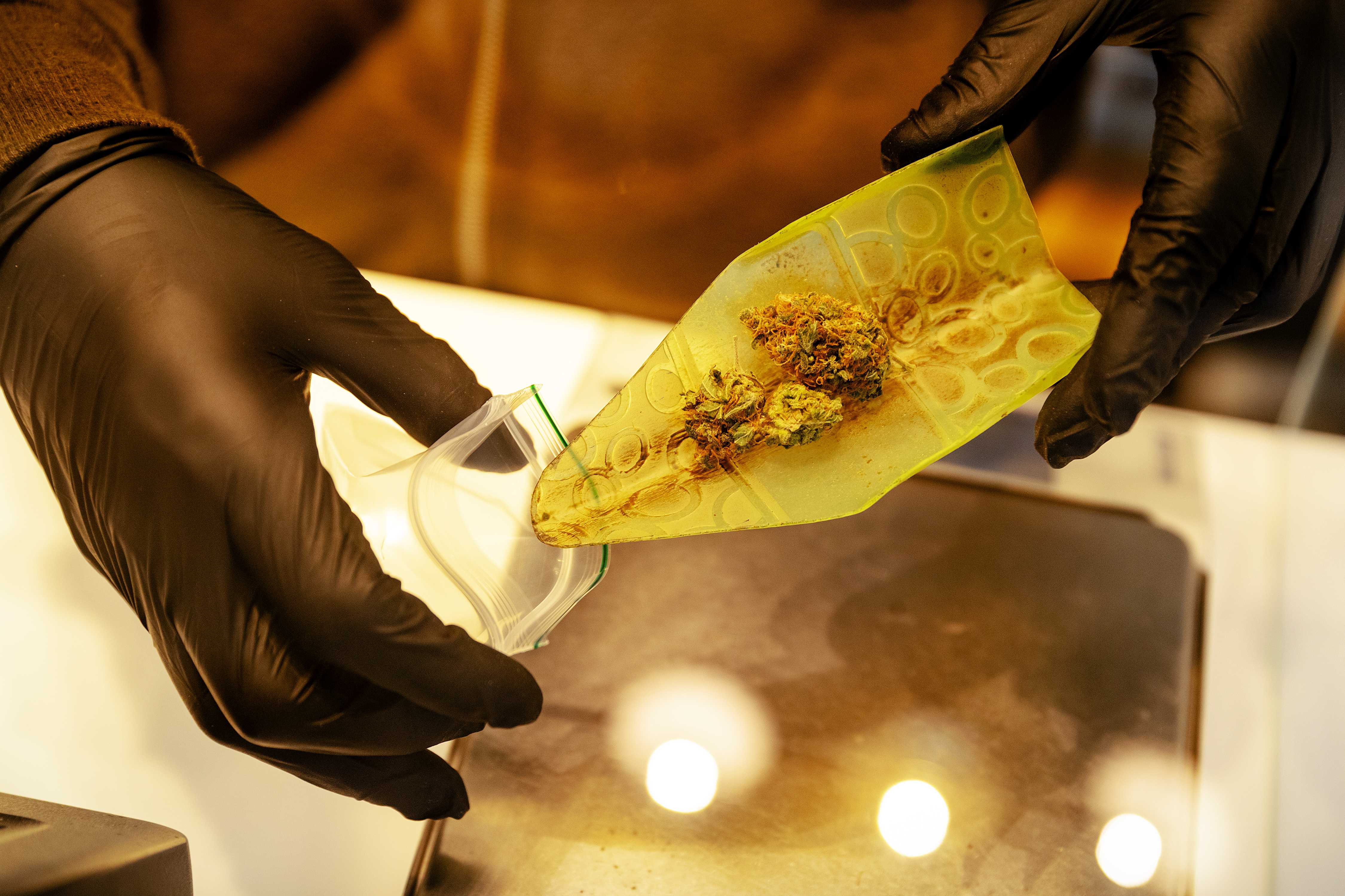 Weed at coffeeshop Cremers