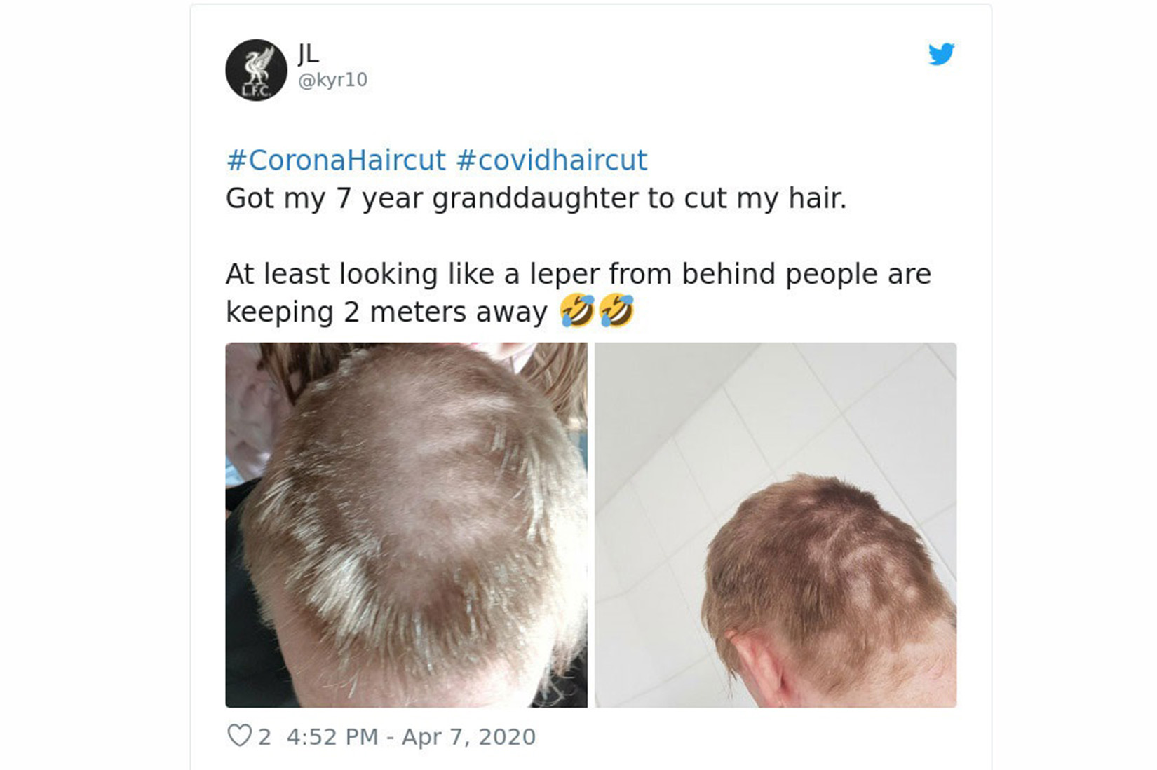 friz5.jpg