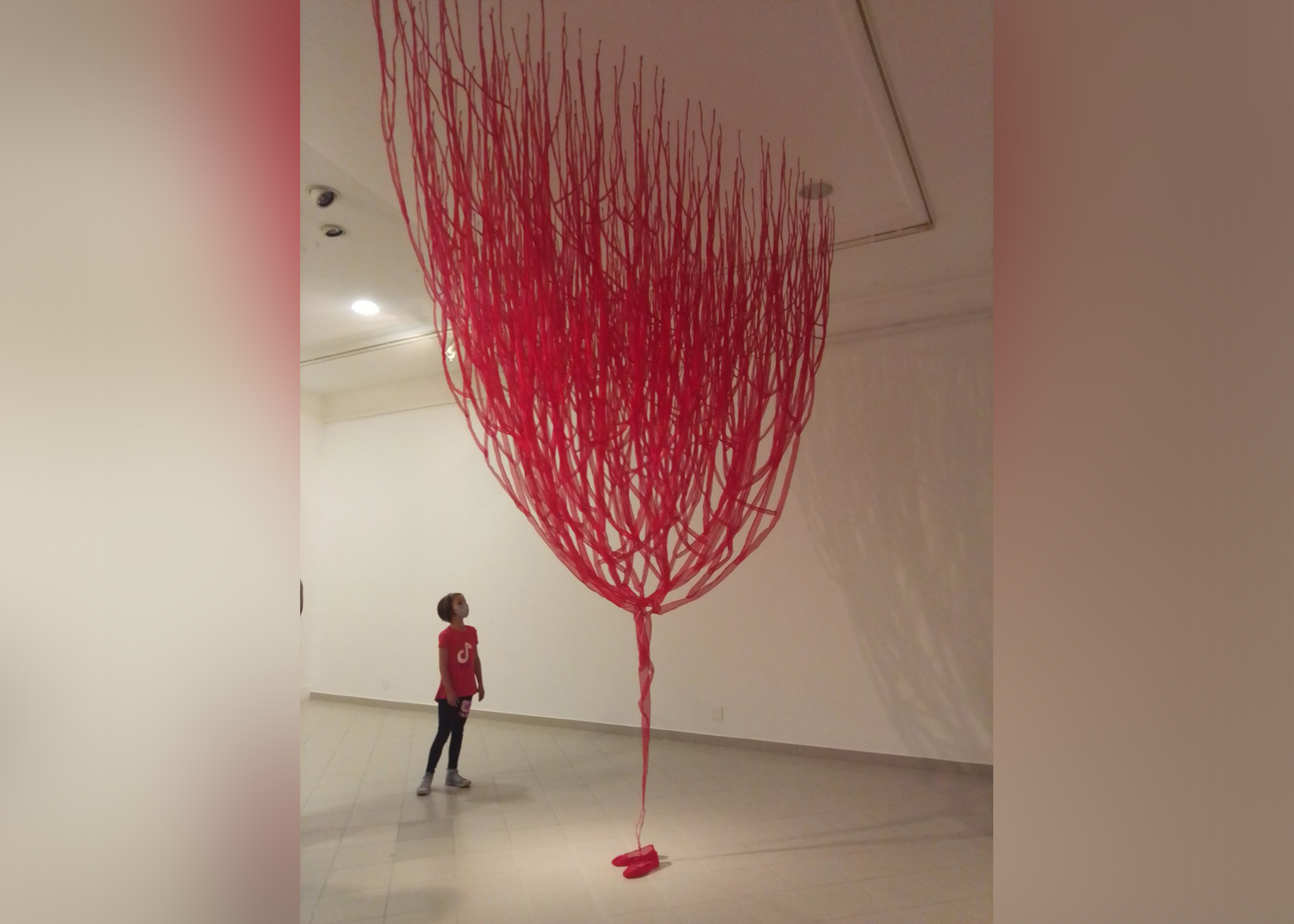 memorijal foto ljubica sokic