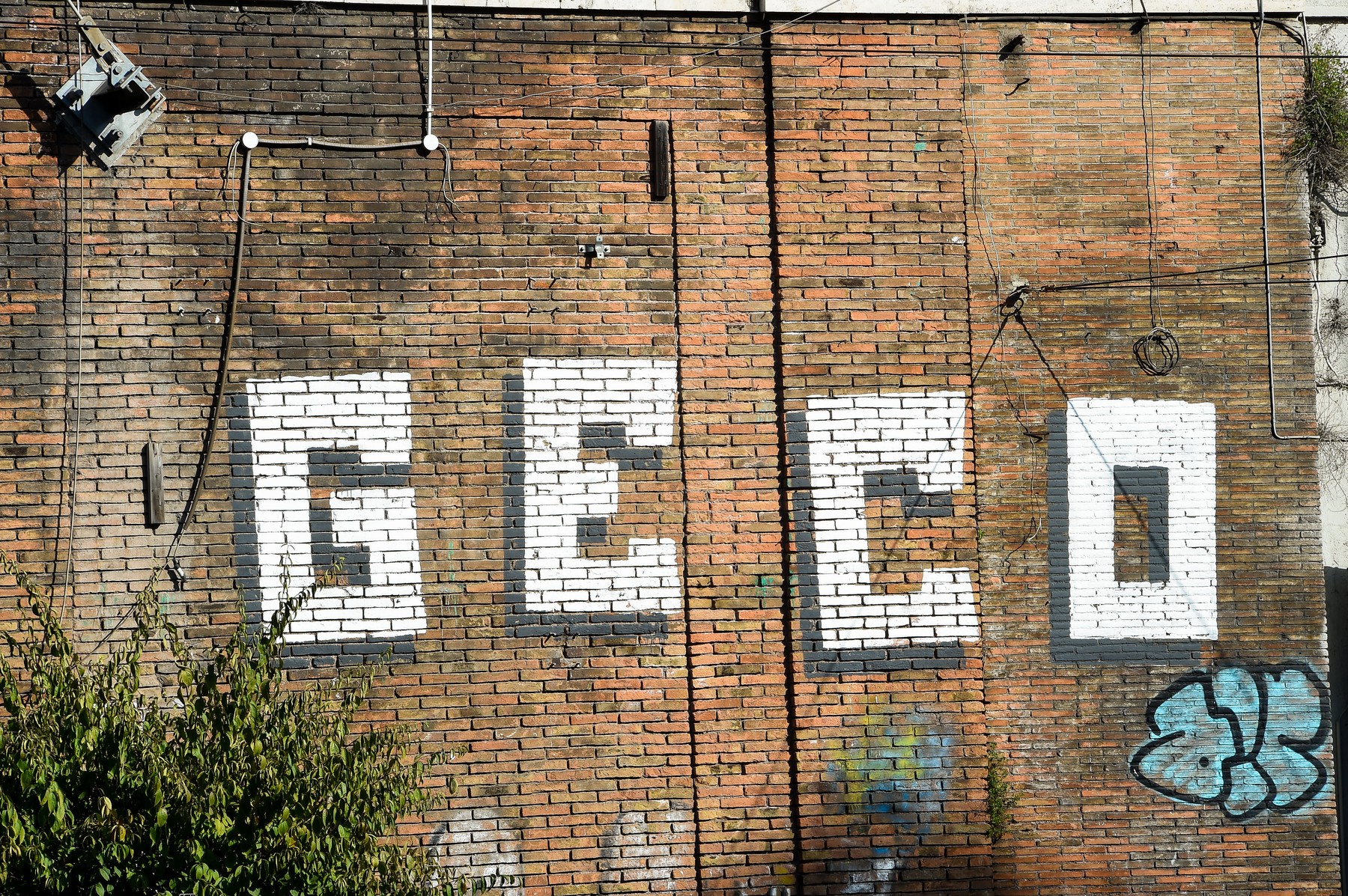 Geco tag