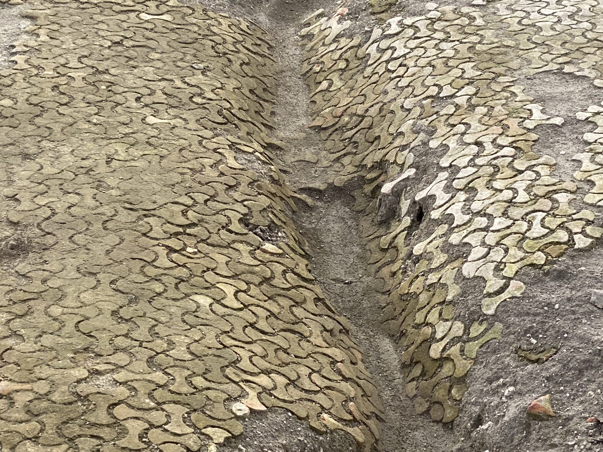 Viminacijum, arheološko nalazište, Principium VII Klaudijeve legije na Viminacijumu, principij-vojana komanda, štab legije u vojnom logoru