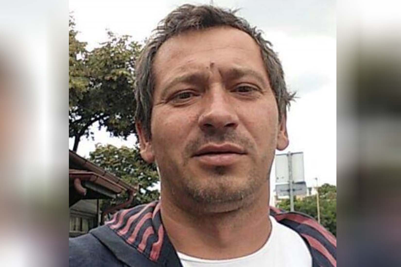 Vladimir Litera