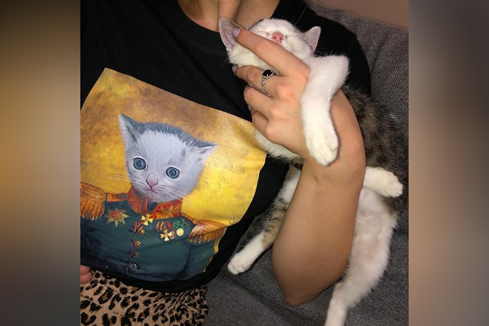 Mače, maca, mačka Foto: Aleksandra Milenković