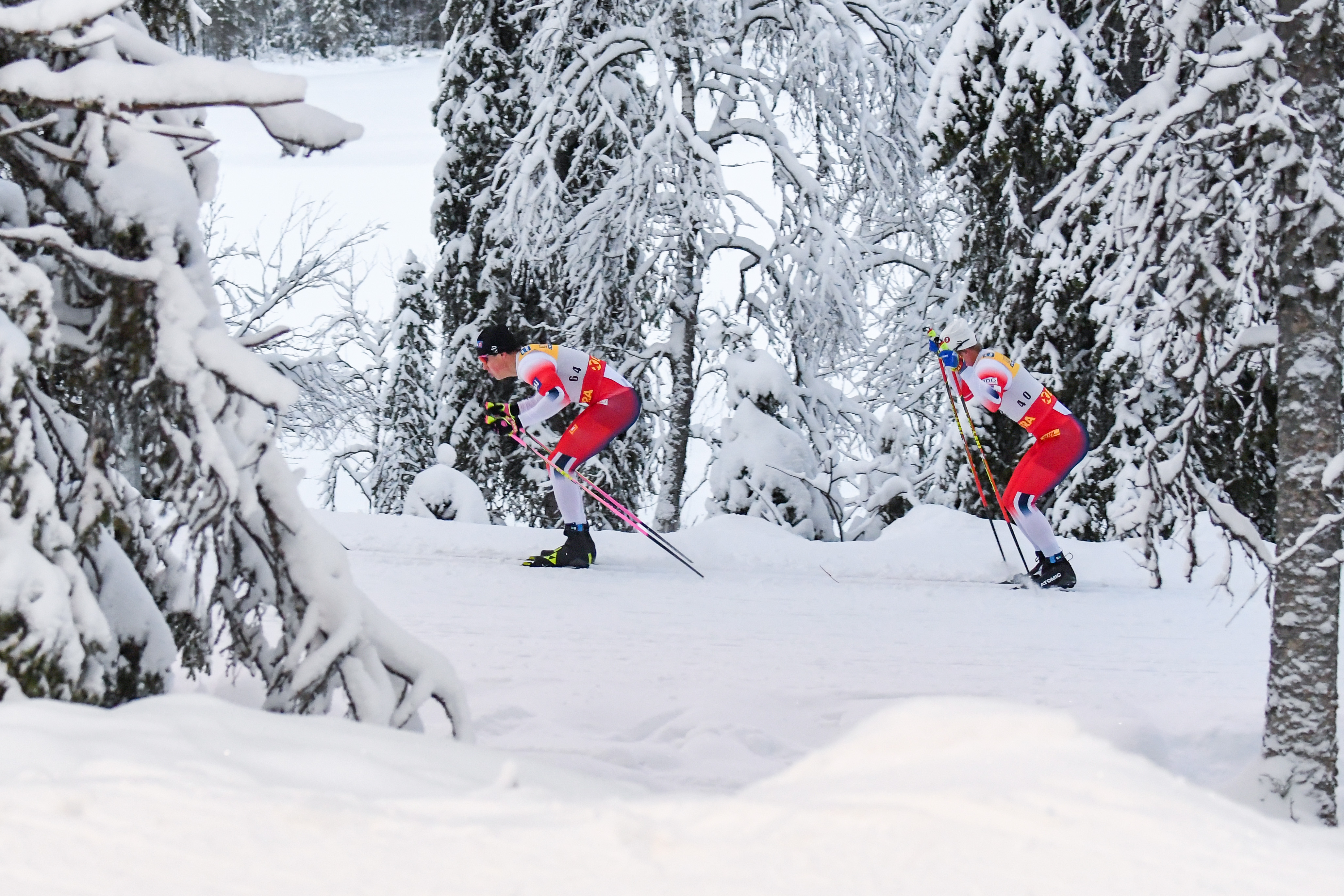 FIS Cross Country World Cup