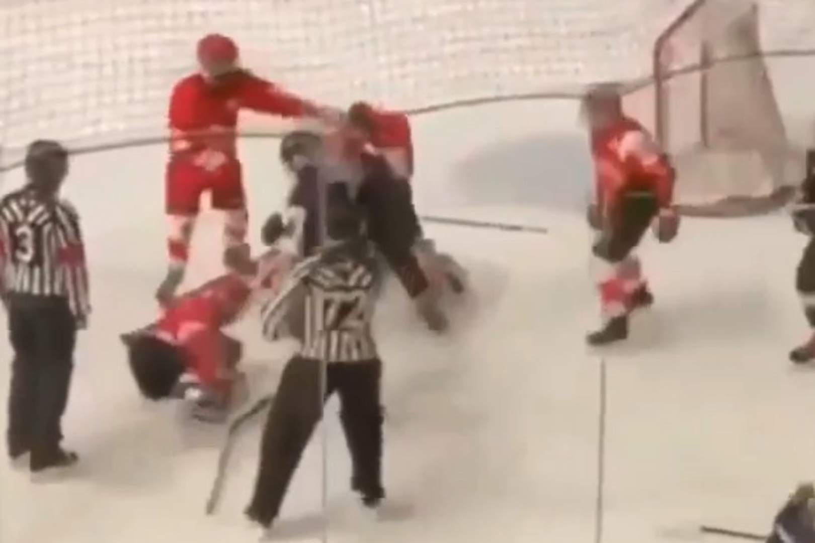 Tuca mladih hokejasa Crvene zvezde i Partizana