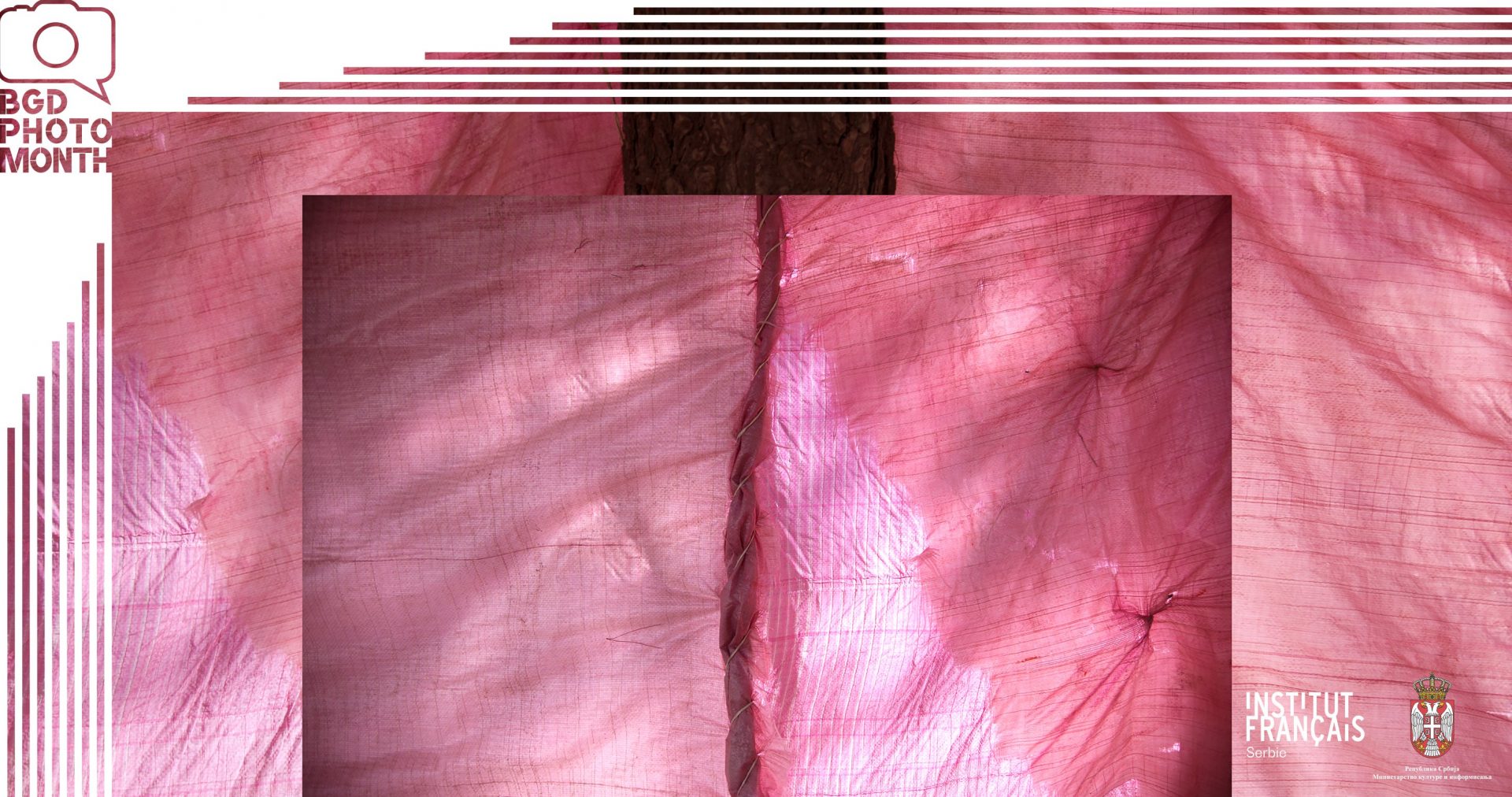 IZLOŽBA FOTOGRAFIJA NILOUFAR BANISADR U FRANCUSKOM INSTITUTU