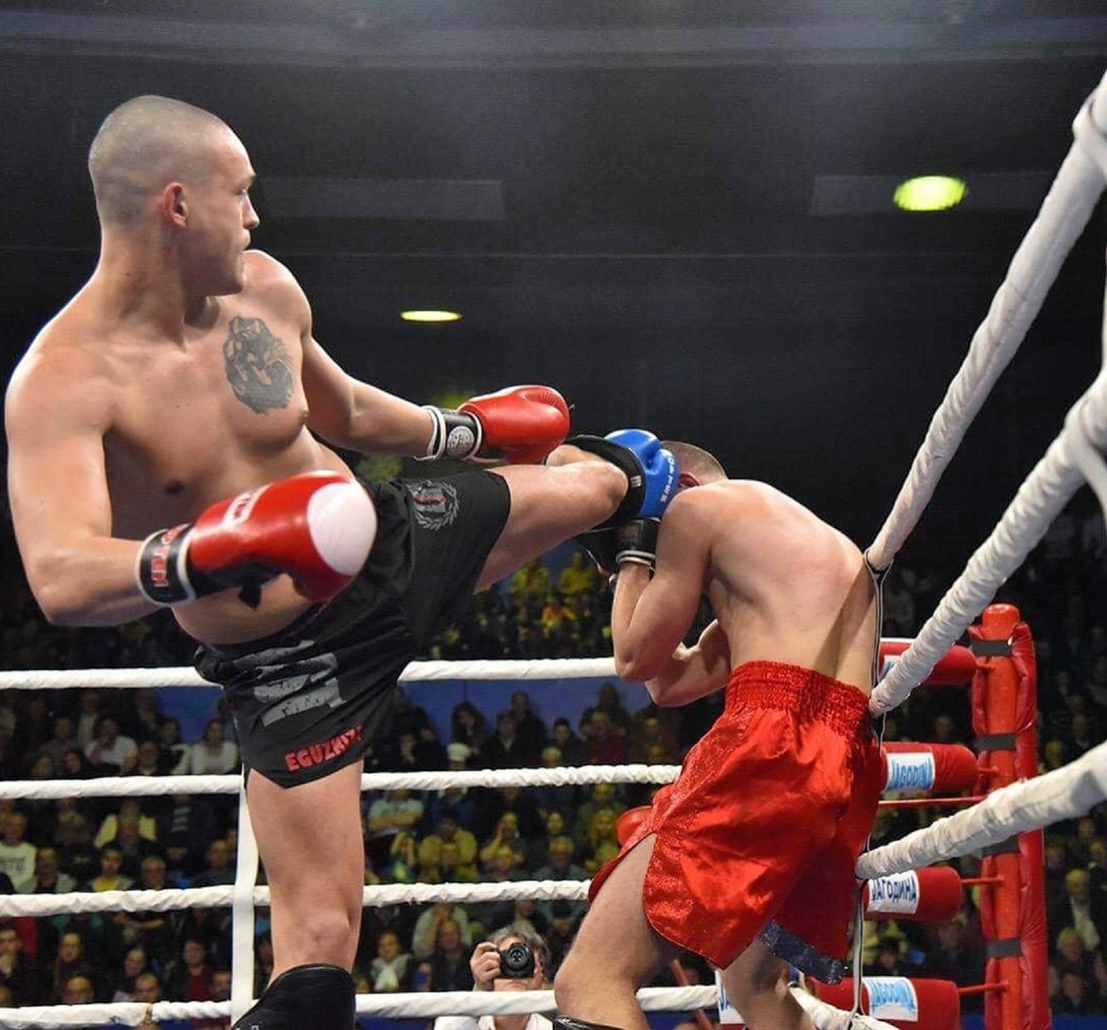 Foto: Kik boks savez Srbije