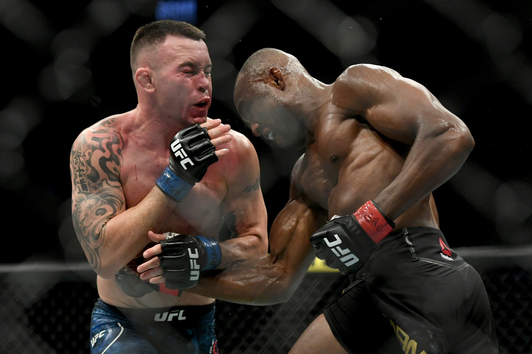 LDN-L-UFC245-1214
