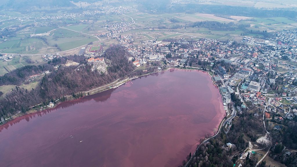 Slovenija, 19.03.2020. jezero Beld u crvenoj boji, crveno jezero Bled, crvena boja Foto: Jani Kolman