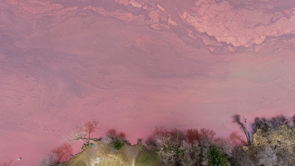 Slovenija, 19.03.2020. jezero Beld u crvenoj boji, crveno jezero Bled, crvena boja Foto: Jani Kolman