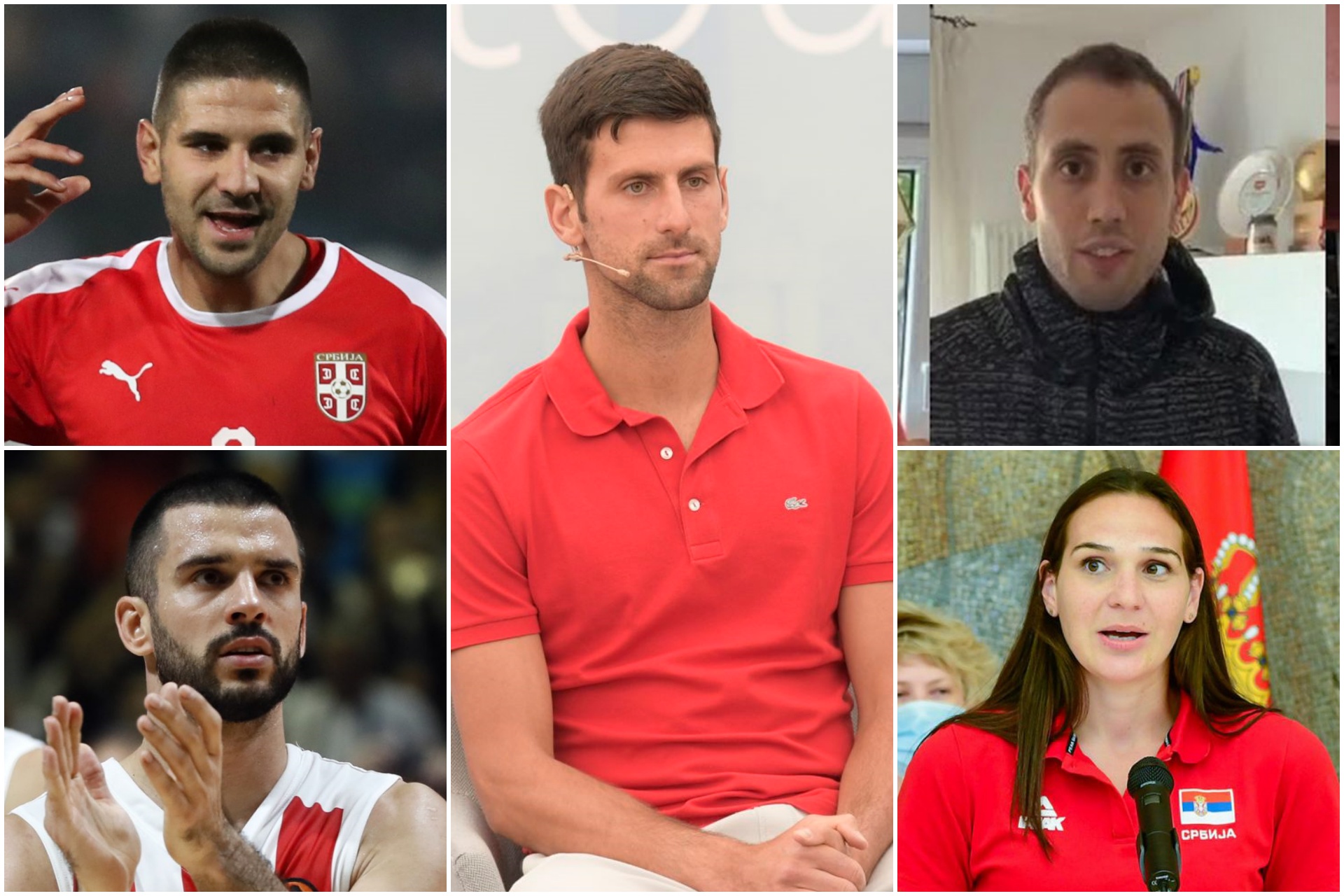 Novak Đoković, Aleksandar Mitrović, Sonja Petrović, Branko Lazića, Aleksandar Atanasijević