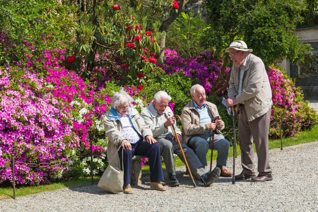 , Image: 340076732, License: Rights-managed, Restrictions: , Model Release: no, Credit line: Carolyn Jenkins / Alamy / Alamy / Profimedia