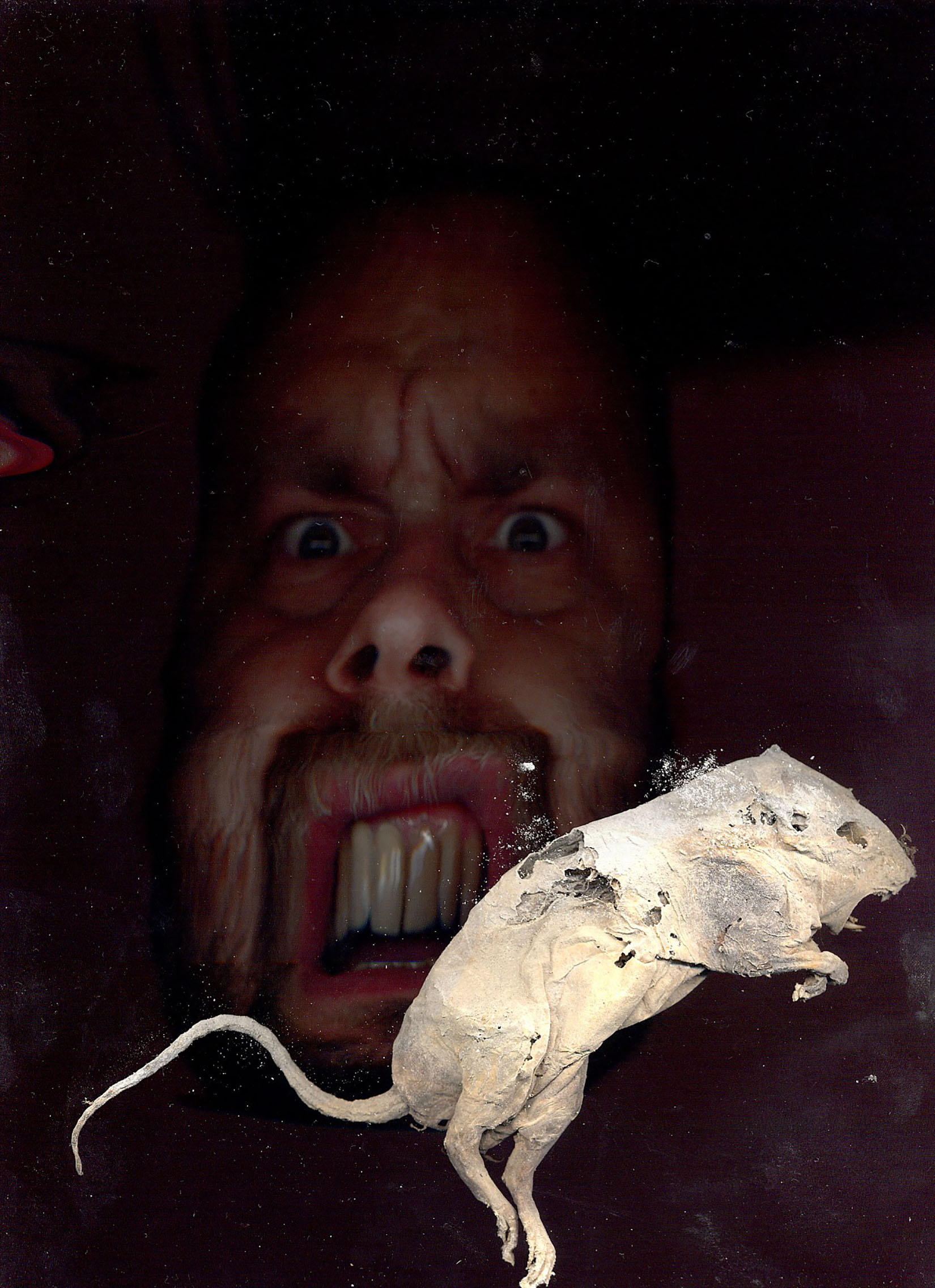 Izlozba ako utopija uspe